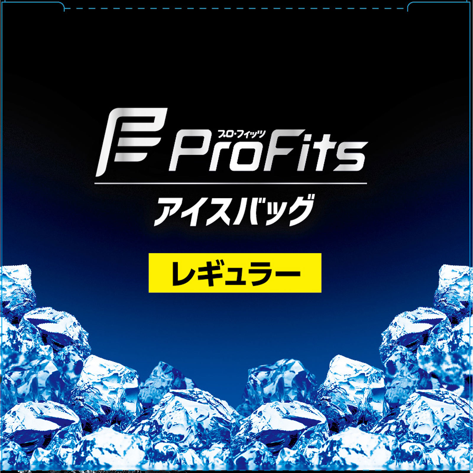 ピップスポーツ アイスバッグ レギュラー １個 ピップフジモト