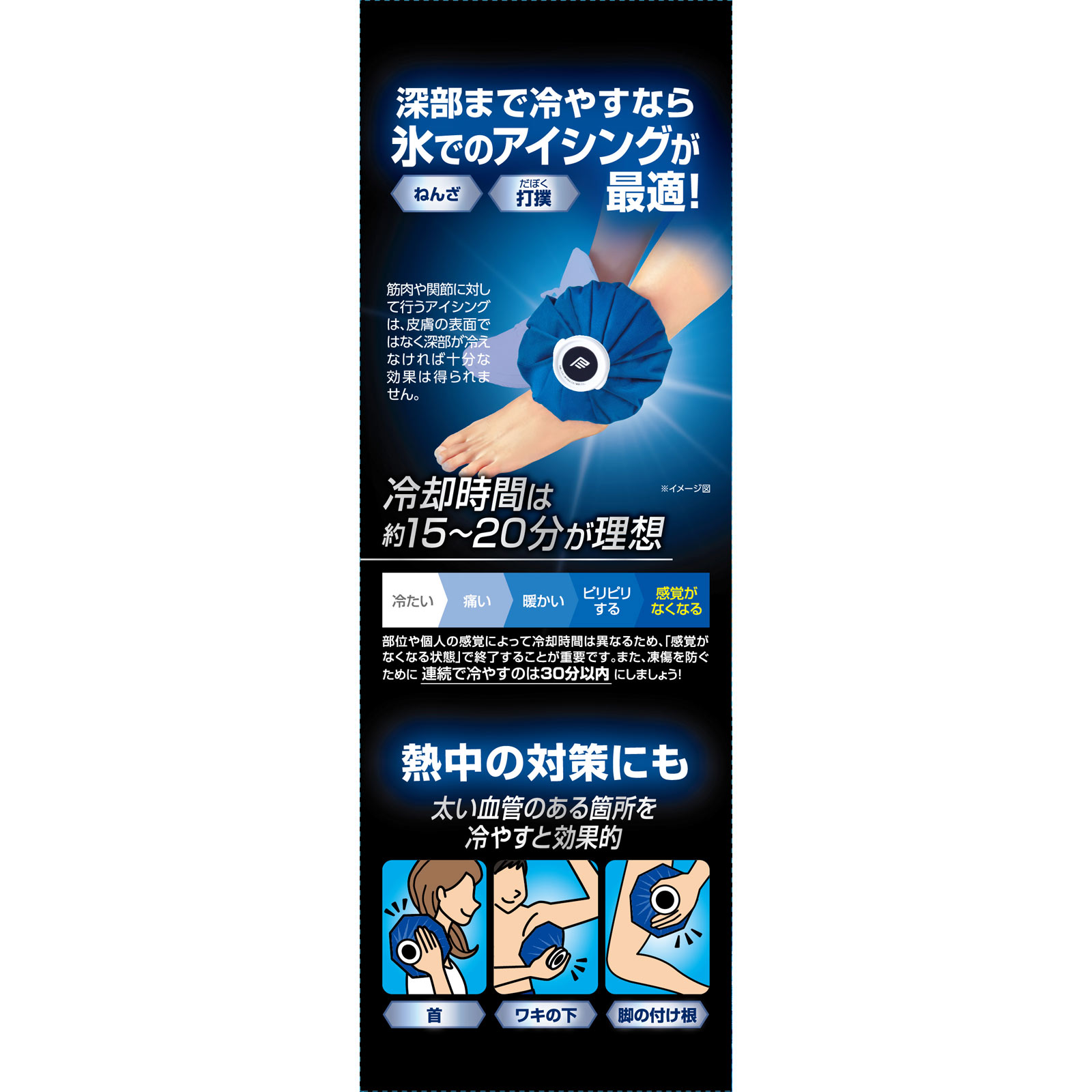 ピップスポーツ アイスバッグ レギュラー １個 ピップフジモト