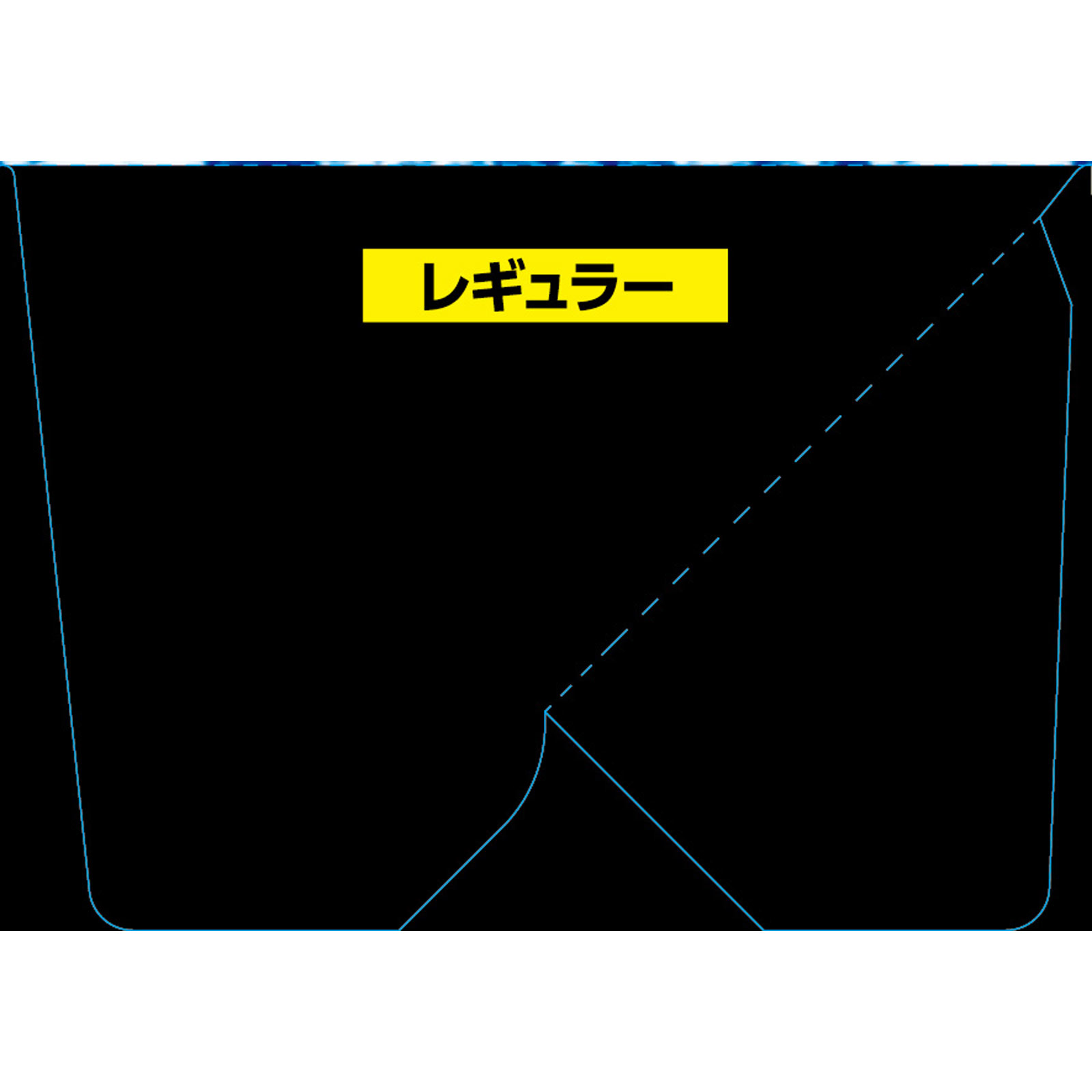 ピップスポーツ アイスバッグ レギュラー １個 ピップフジモト