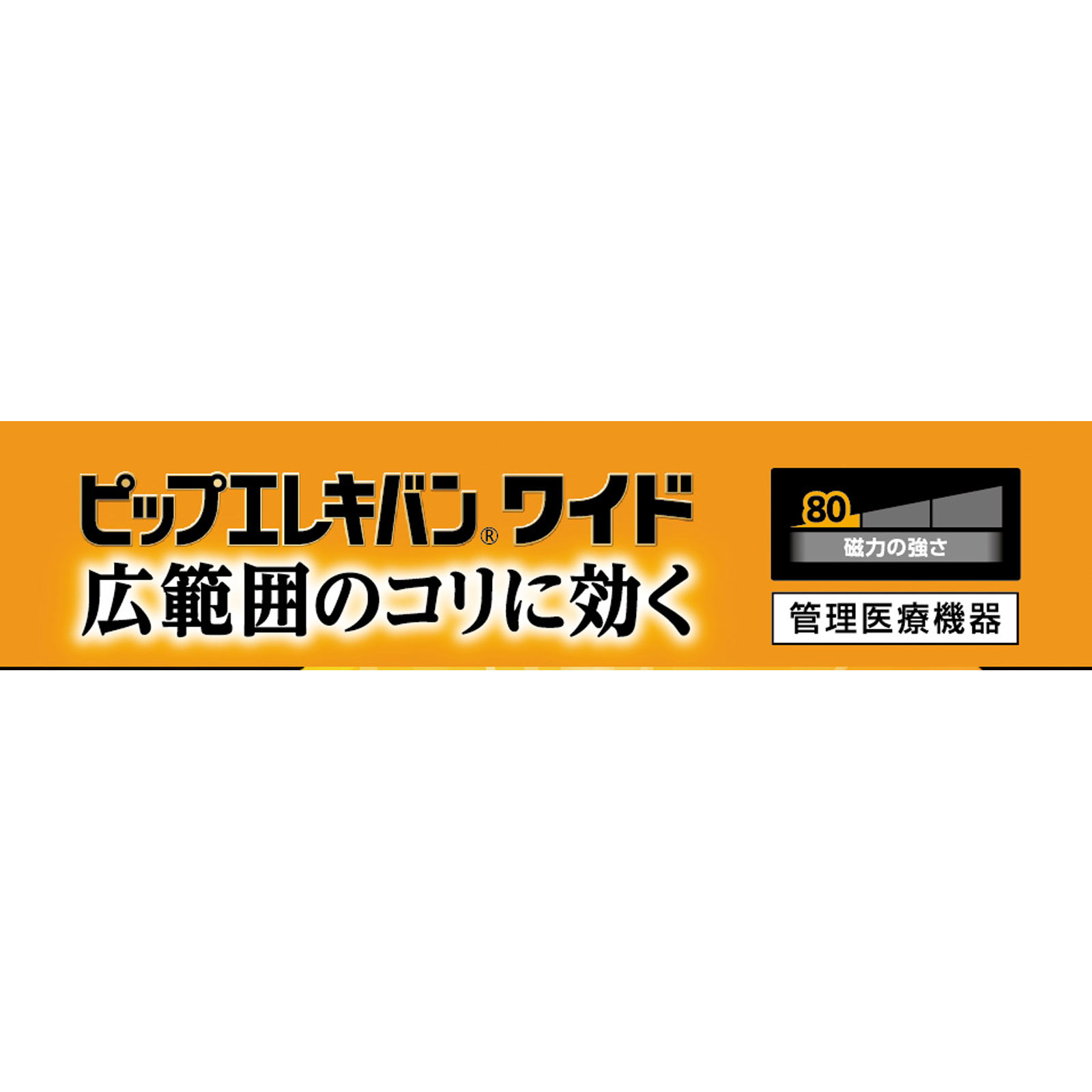 エレキバンワイド ６粒 ピップフジモト
