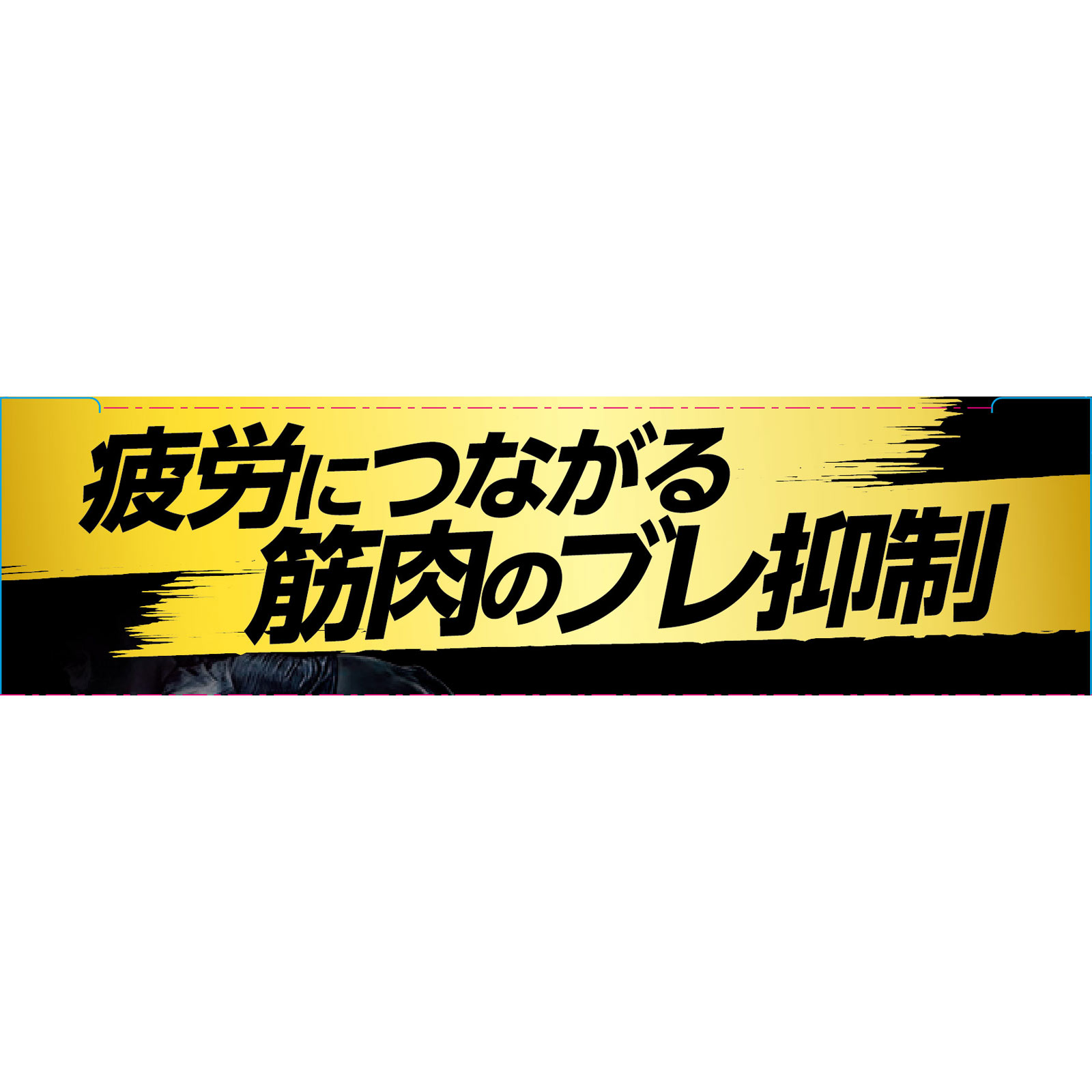 プロ・フィッツメディカルスポーツゲイター Ｍ ピップフジモト