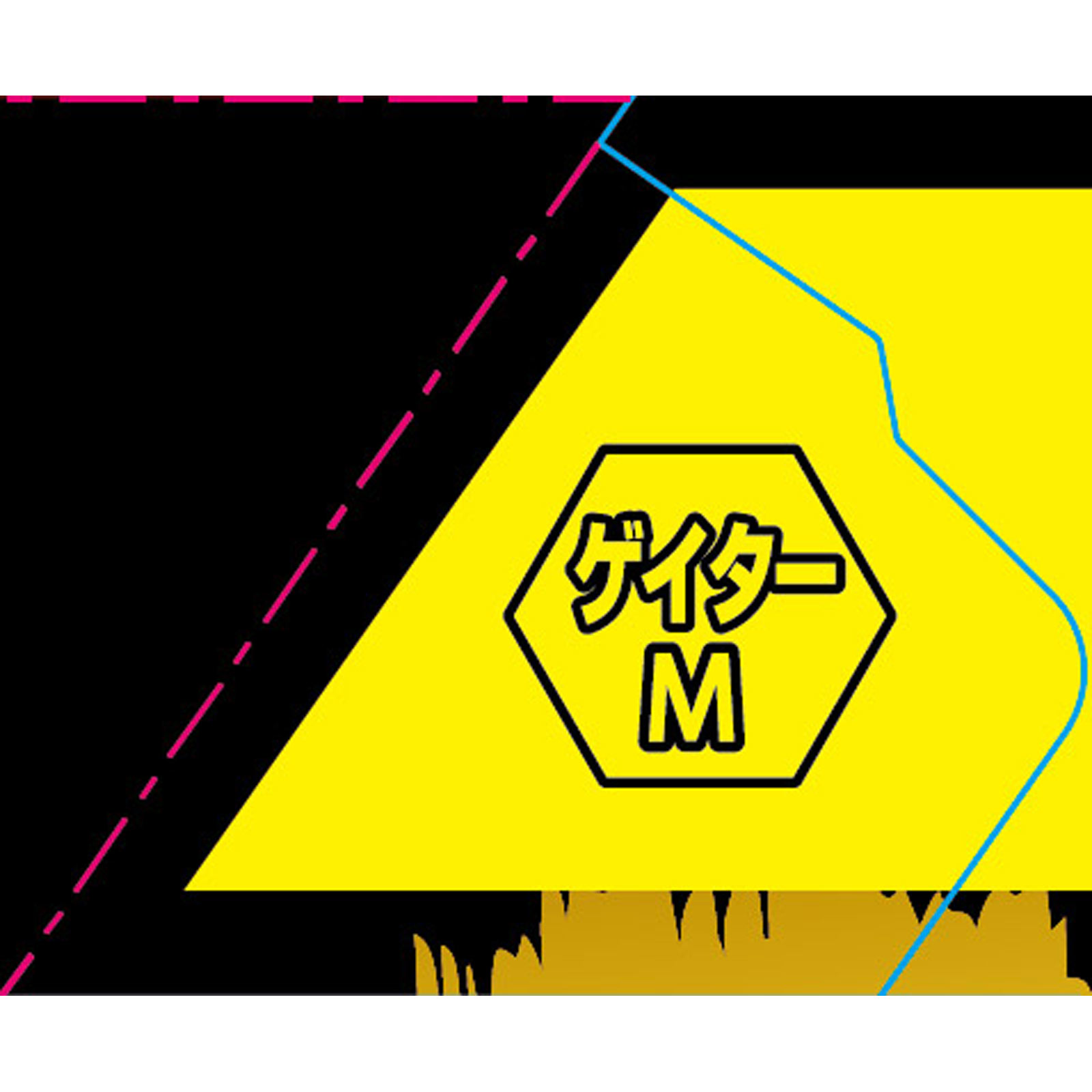 プロ・フィッツメディカルスポーツゲイター Ｍ ピップフジモト