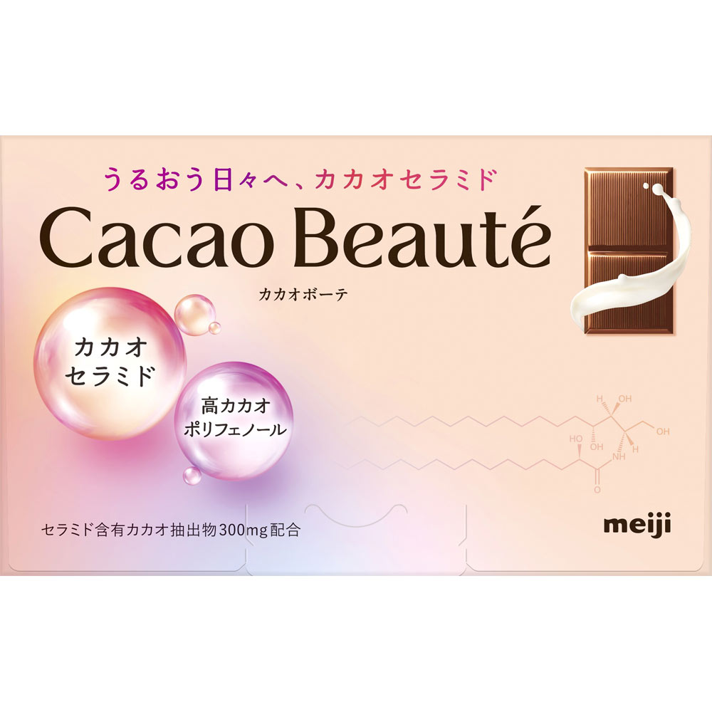 カカオボーテ ６０ｇ 明治（旧明治製菓）