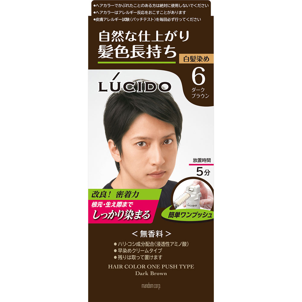 ルシード ワンプッシュケアカラー 6 ダークブラウン １剤５０ｇ・２剤５０ｇ マンダム (医薬部外品)