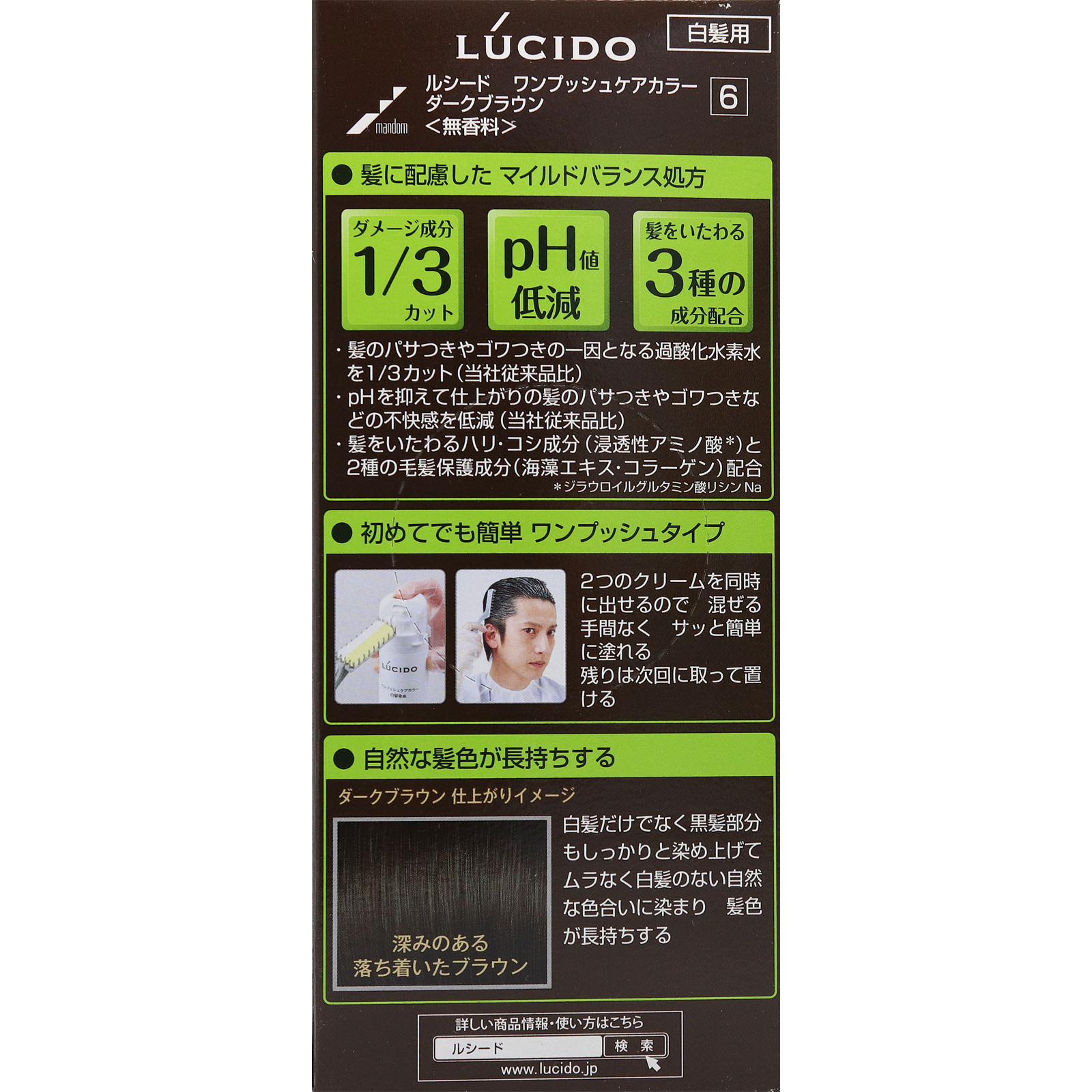 ルシード ワンプッシュケアカラー 6 ダークブラウン | マツキヨ