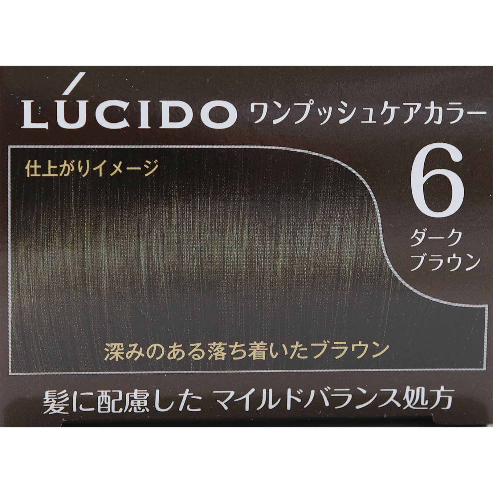 ルシード ワンプッシュケアカラー 6 ダークブラウン | マツキヨ