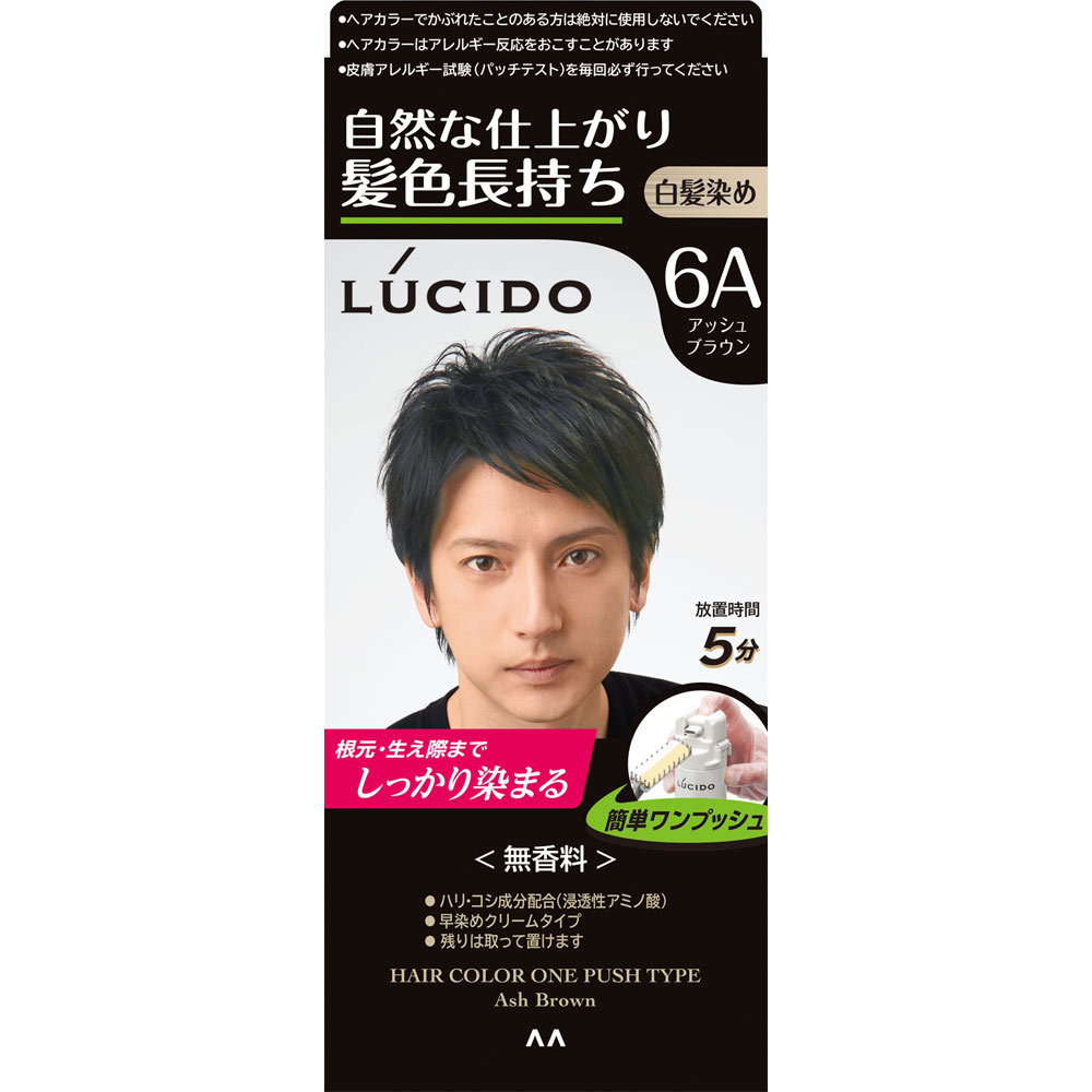 ルシード　ワンプッシュケアカラー　アッシュブラウン １剤５０ｇ・２剤５０ｇ マンダム (医薬部外品)
