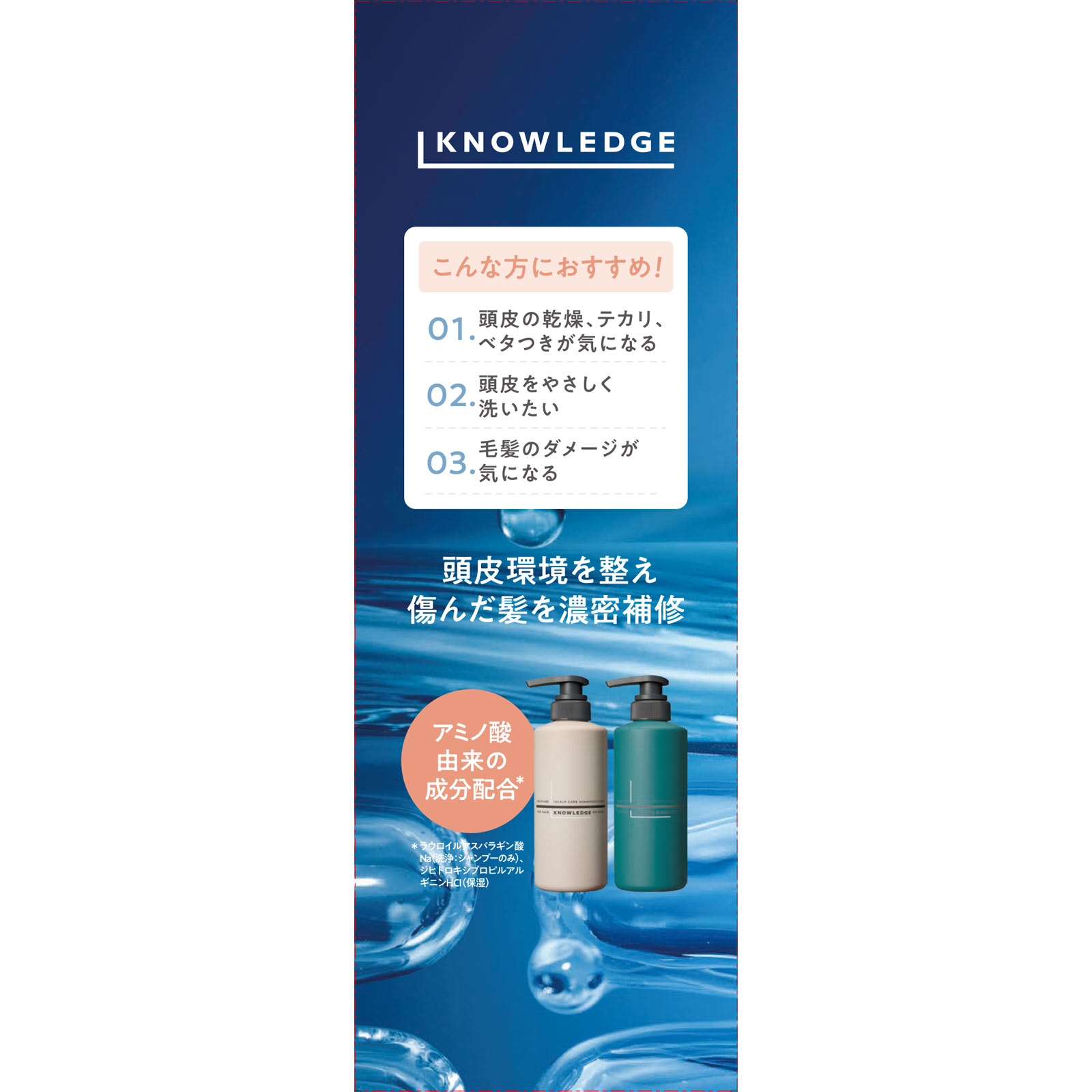 ナレッジ スカルプケアSP・リペアTMパック 380ml+380g
