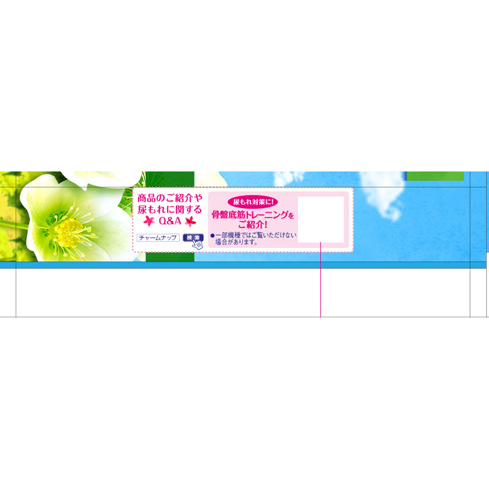 チャ-ムナップ　長時間快適用消臭タイプ １４枚 ユニ・チャーム