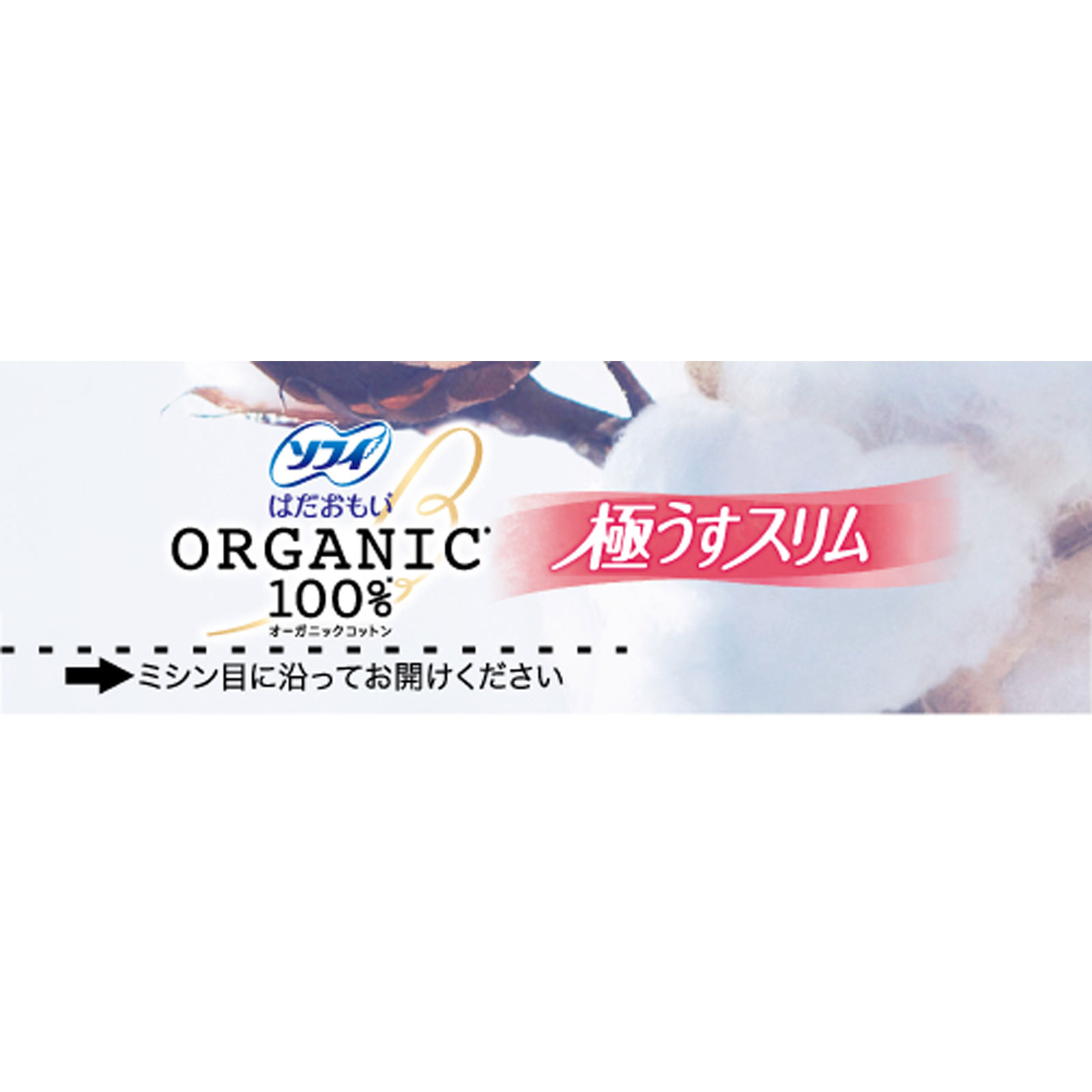 ソフィはだおもい オーガニックコットン 極うすスリム 175羽