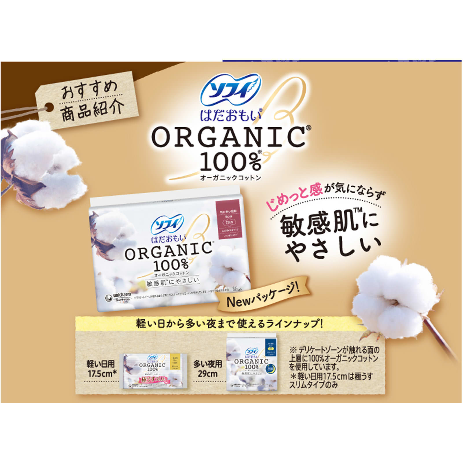 ソフィボディフィットＳ ナイトガード 羽つき ９枚×２ ユニ・チャーム (医薬部外品)