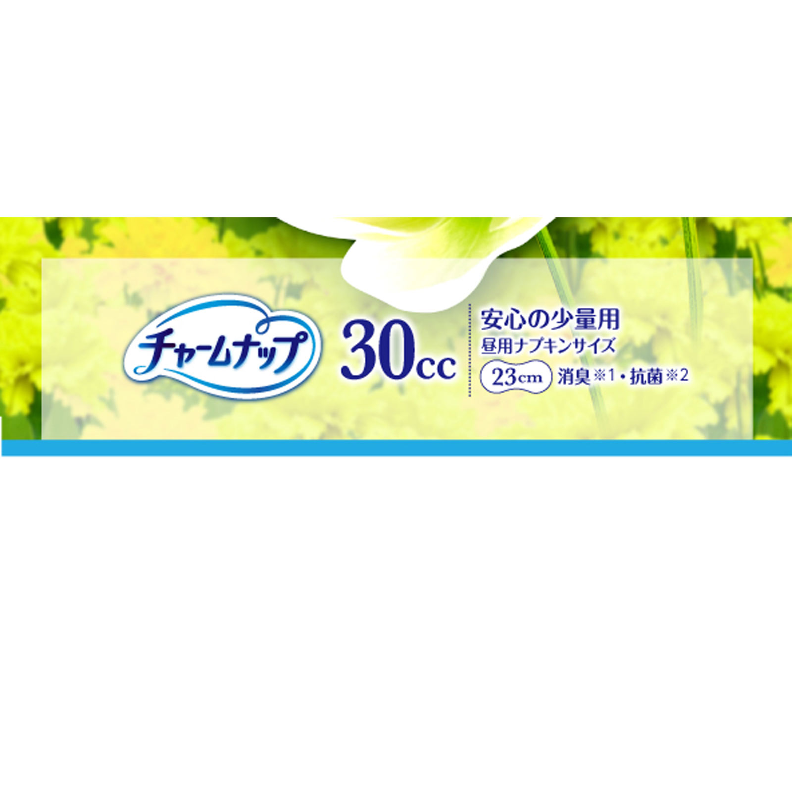 チャ-ムナップ　少量用消臭タイプ ２０枚 ユニ・チャーム
