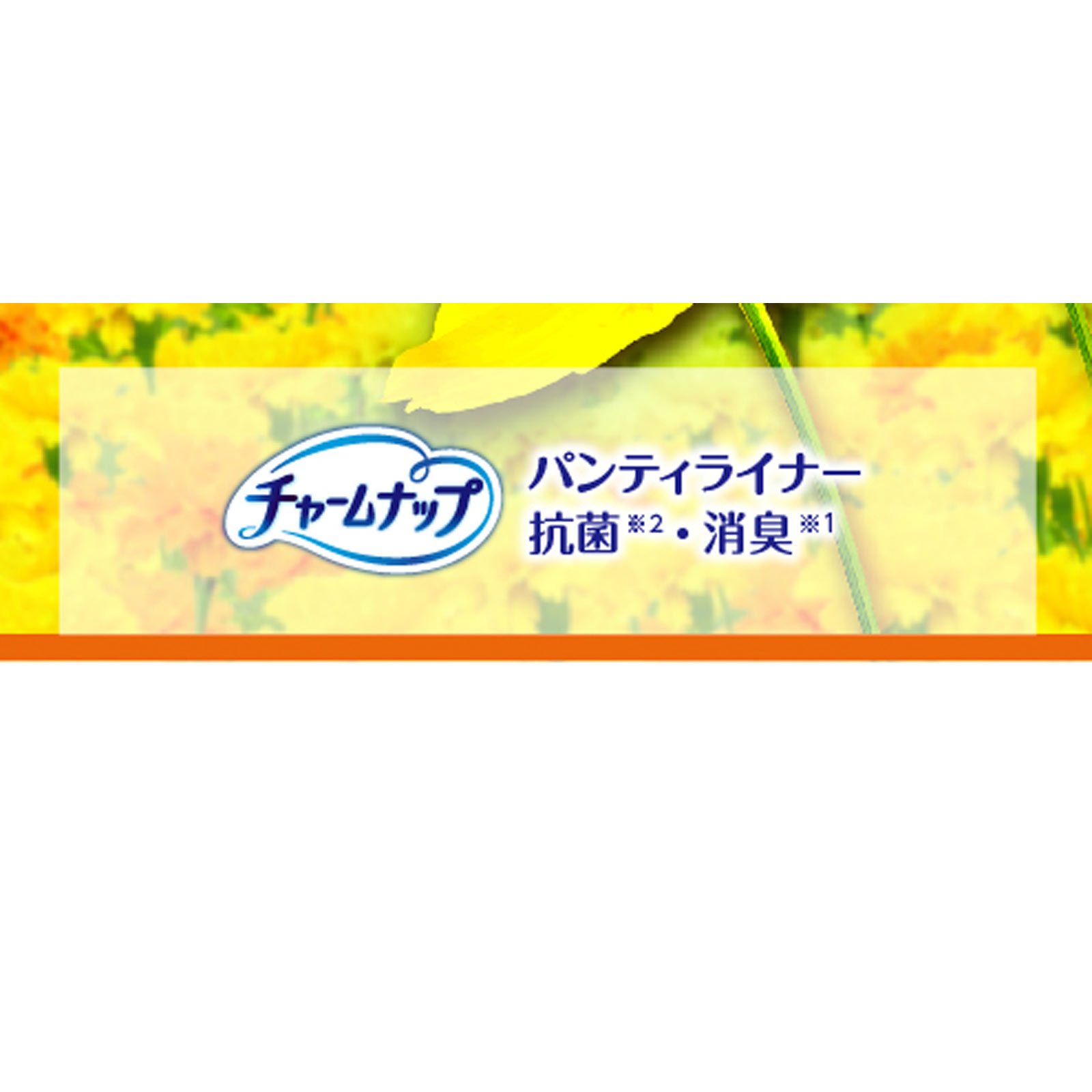 チャームナップ 吸水さらフィ パンティライナー 消臭タイプ ３４枚 ユニ・チャーム