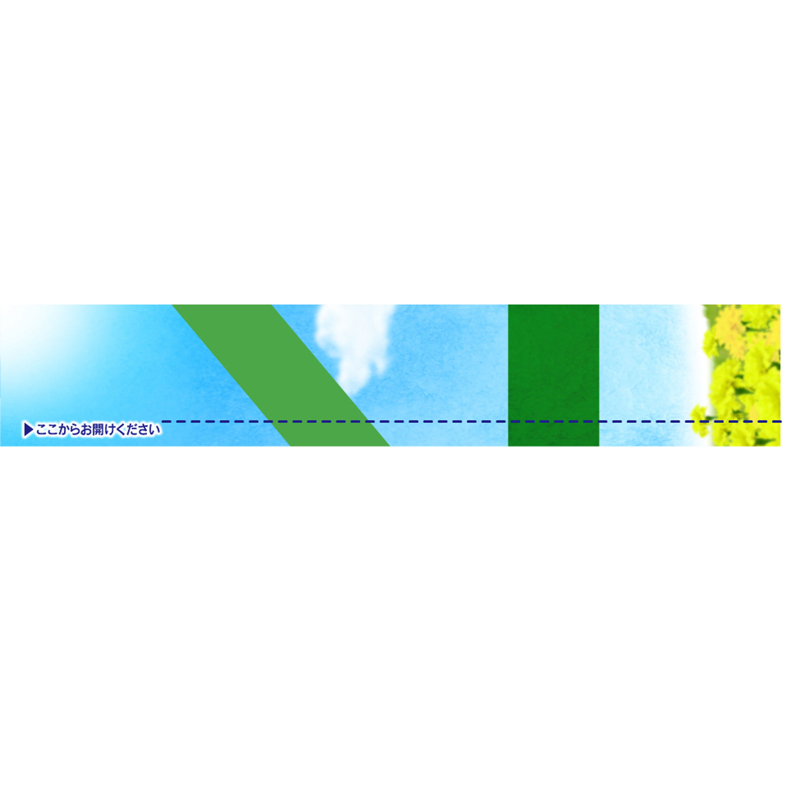 チャ-ムナップ　少量用消臭 ６０枚 ユニ・チャーム