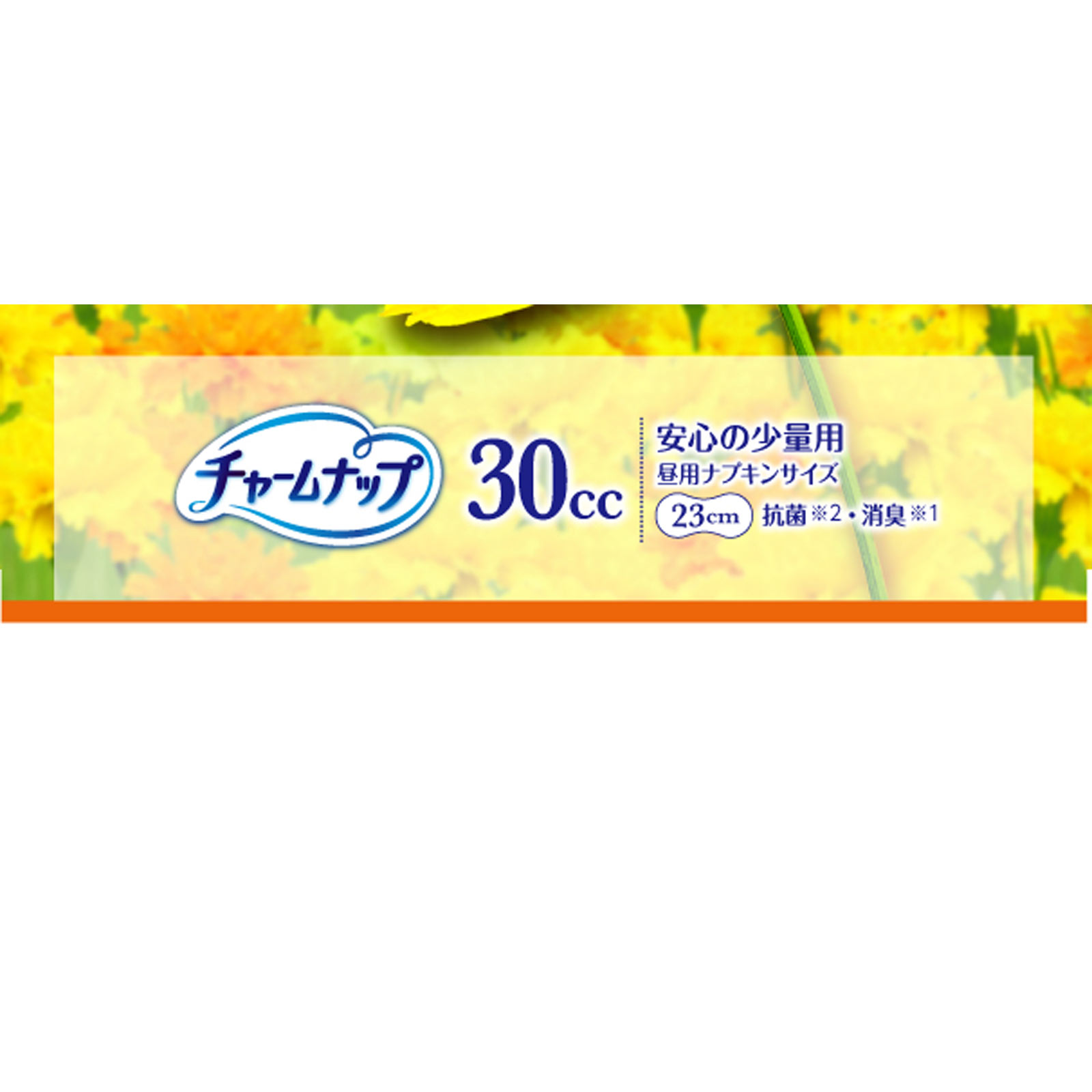 チャームナップ　吸水さらフィ　安心の少量用　消臭タイプ　羽なし　３０ｃｃ　２３ｃｍ（尿吸収ナプキン） ２２枚 ユニ・チャーム
