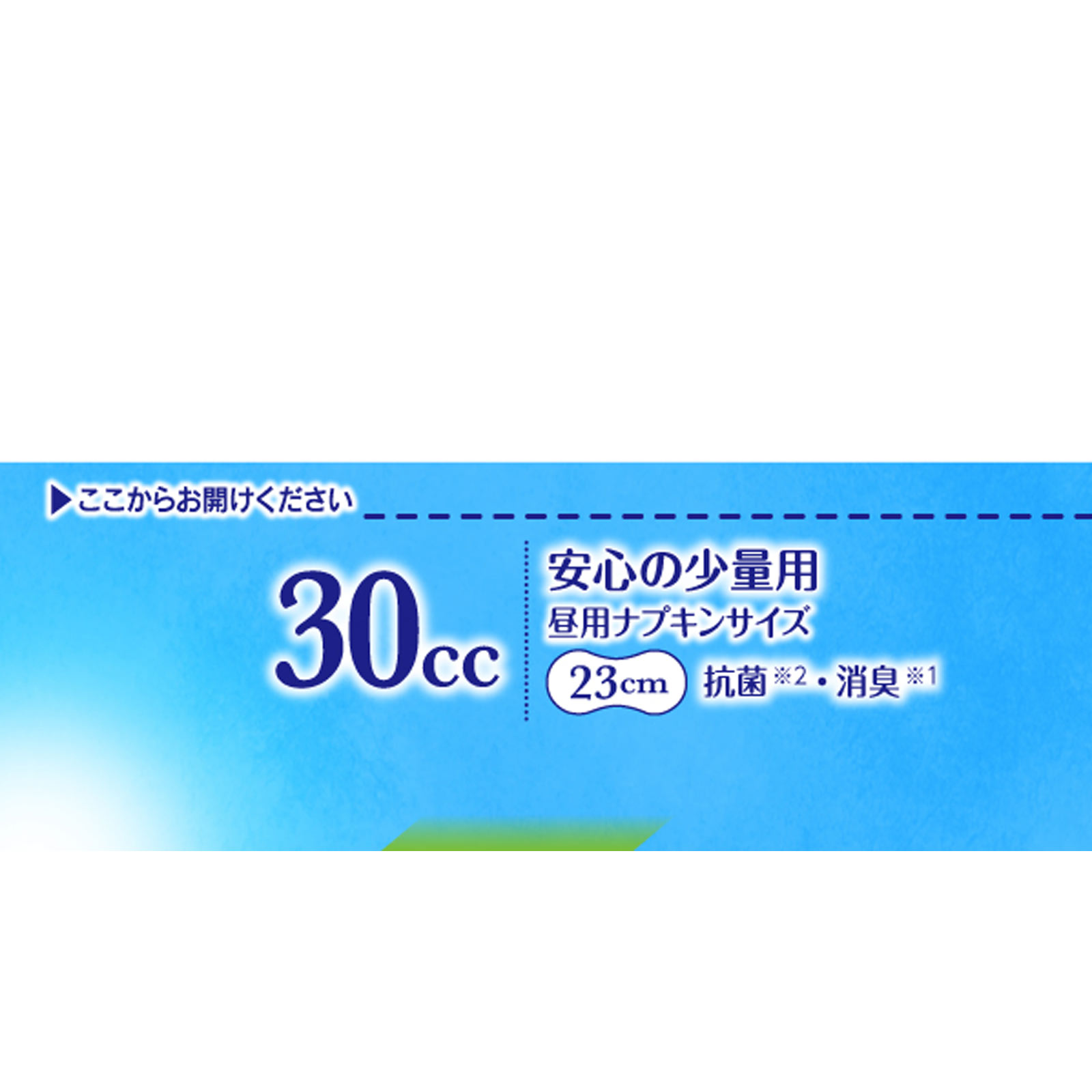 チャームナップ　吸水さらフィ　安心の少量用　消臭タイプ　羽なし　３０ｃｃ　２３ｃｍ（尿吸収ナプキン） ２２枚 ユニ・チャーム