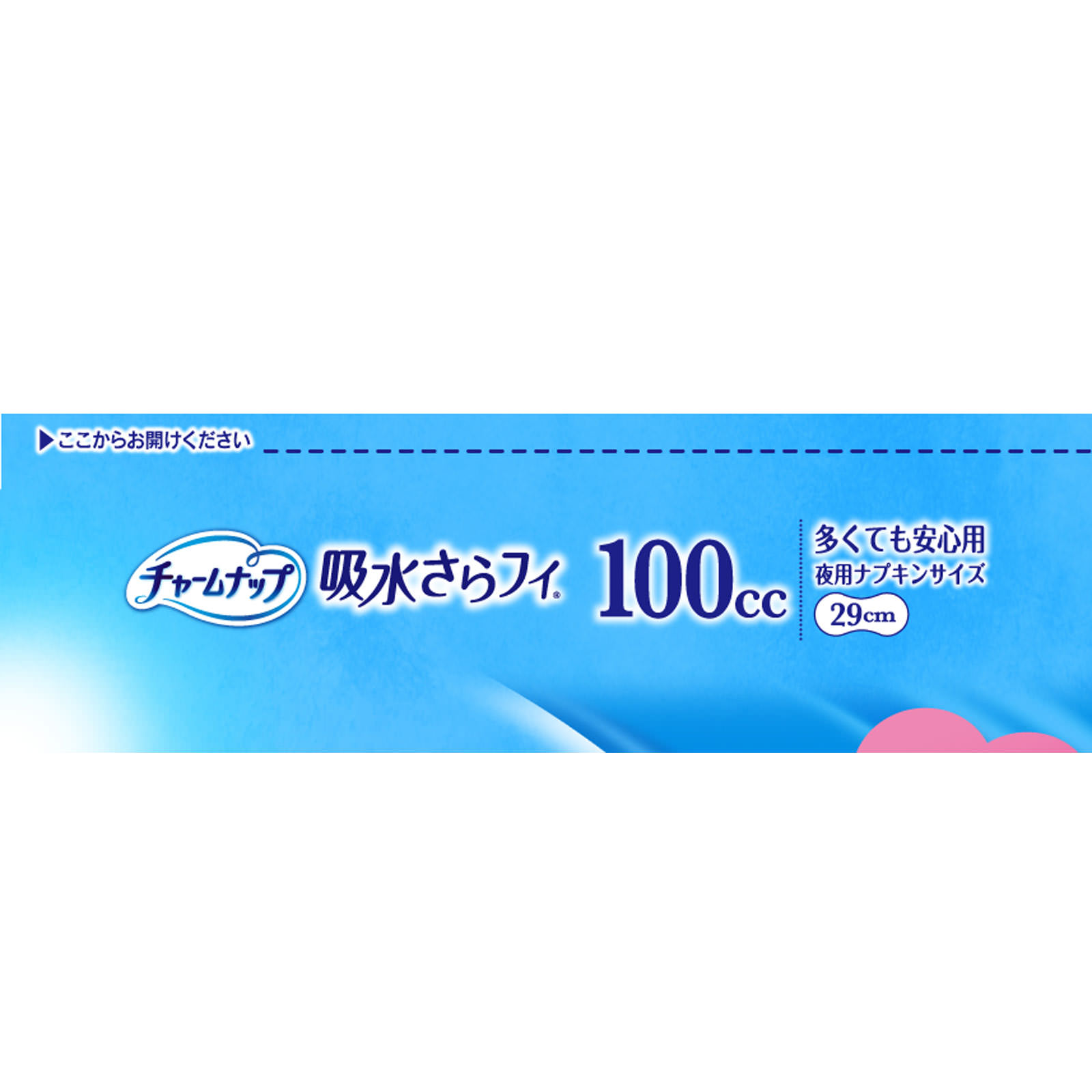 チャームナップ吸水さらフィ100cc 安心スリム夜用ナプキンサイズ売上数量No1 チャームナップ 吸水さらフィ 多くても安心用 羽なし 100cc 20枚