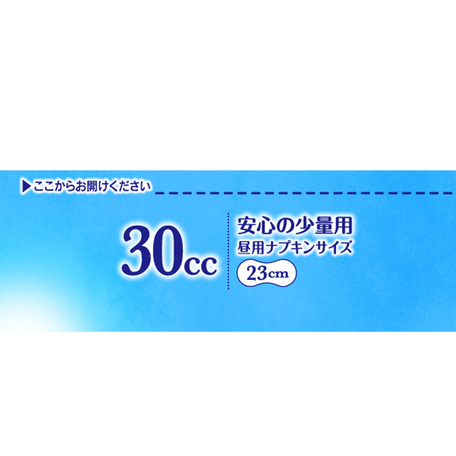 チャームナップ 吸水さらフィ 安心の少量用 22枚 ユニ・チャーム