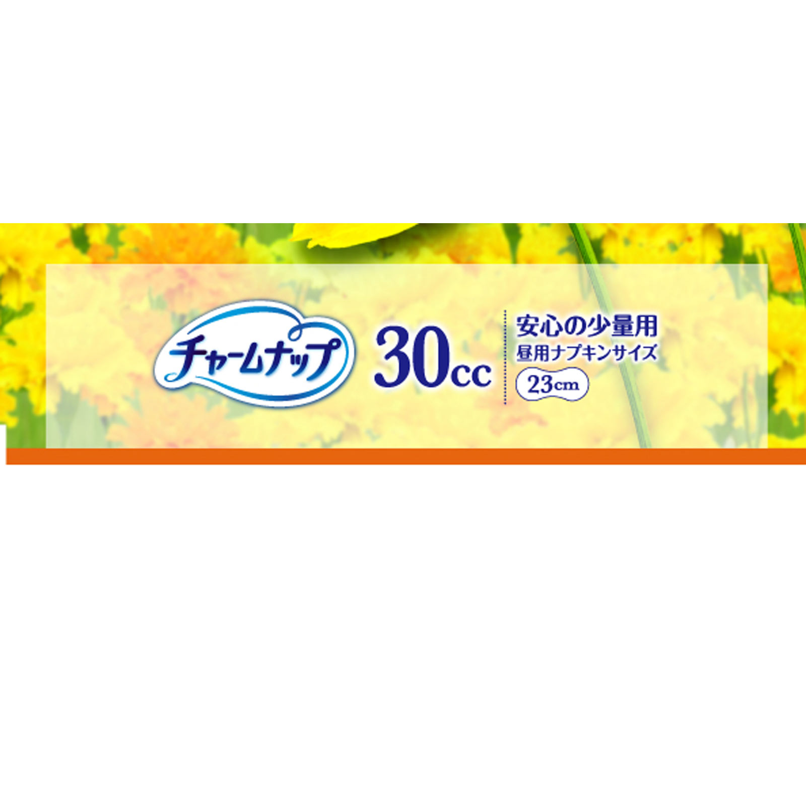 チャームナップ 吸水さらフィ 安心の少量用 22枚 ユニ・チャーム