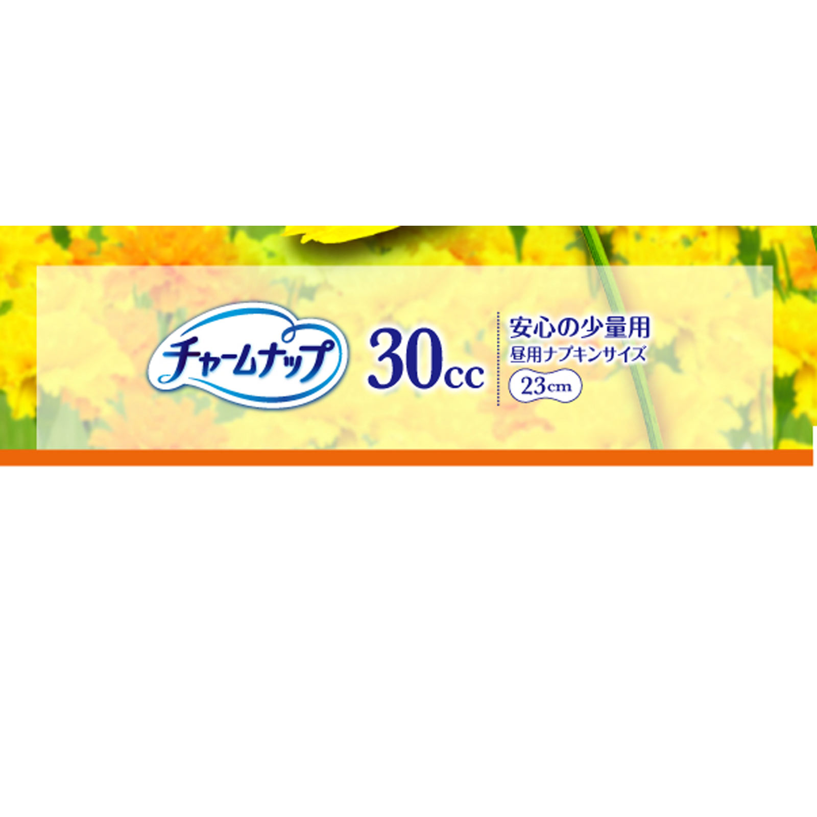 チャームナップ 吸水さらフィ 安心の少量用 ２２枚 ユニ・チャーム