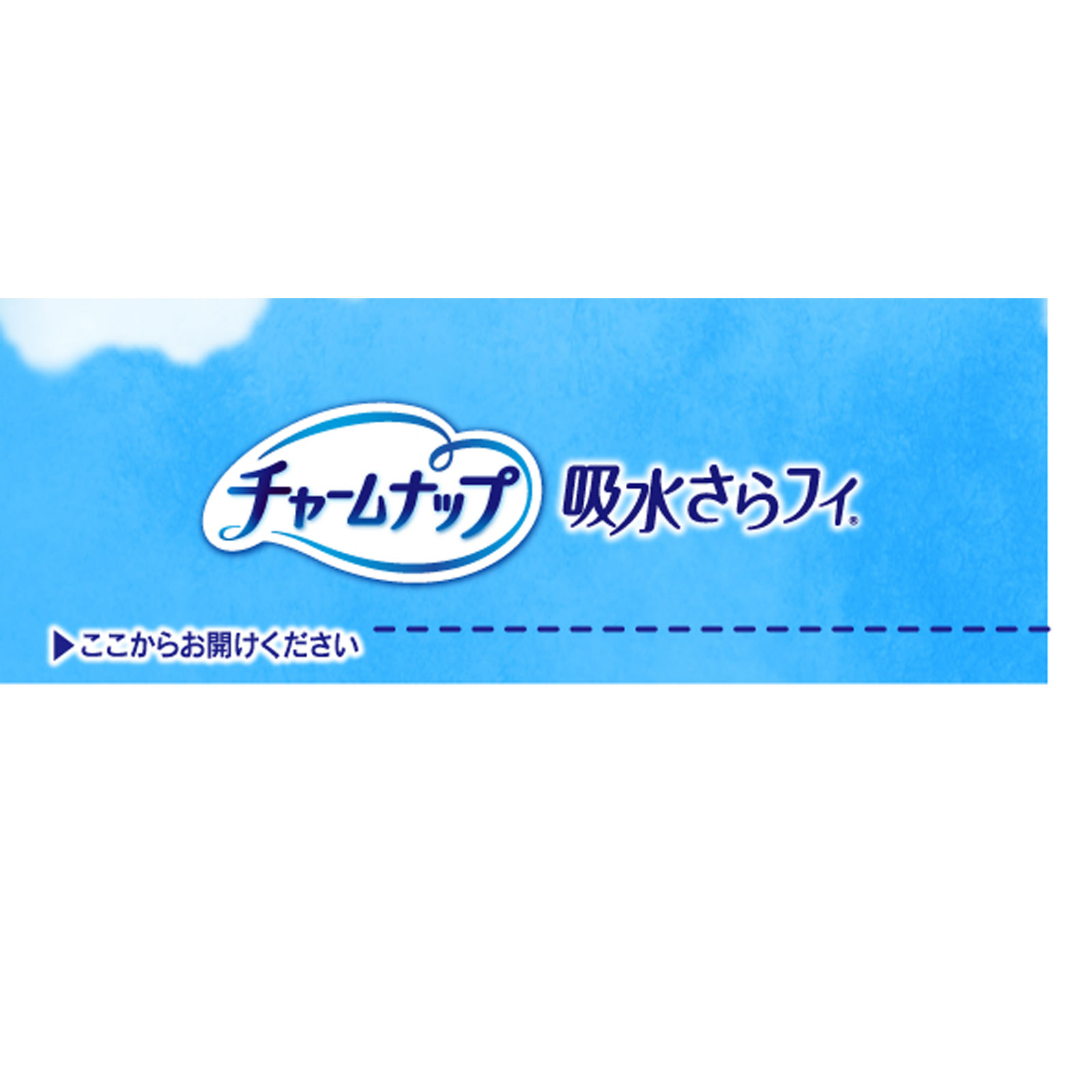 チャームナップ 吸水さらフィ 安心の少量用 22枚 ユニ・チャーム