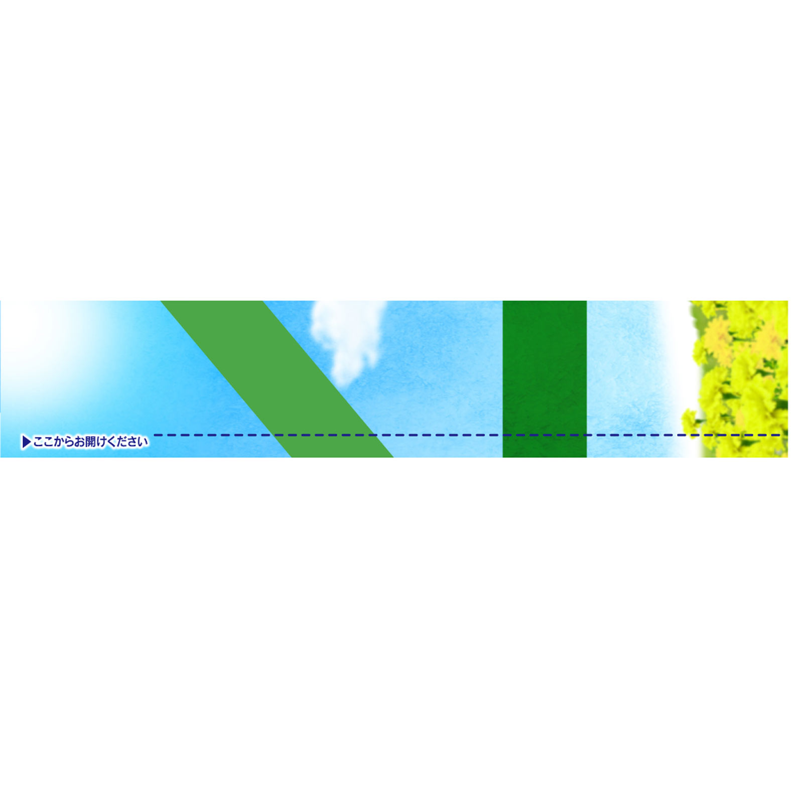 チャ-ムナップ 少量用消臭タイプ 40枚 ユニ・チャーム