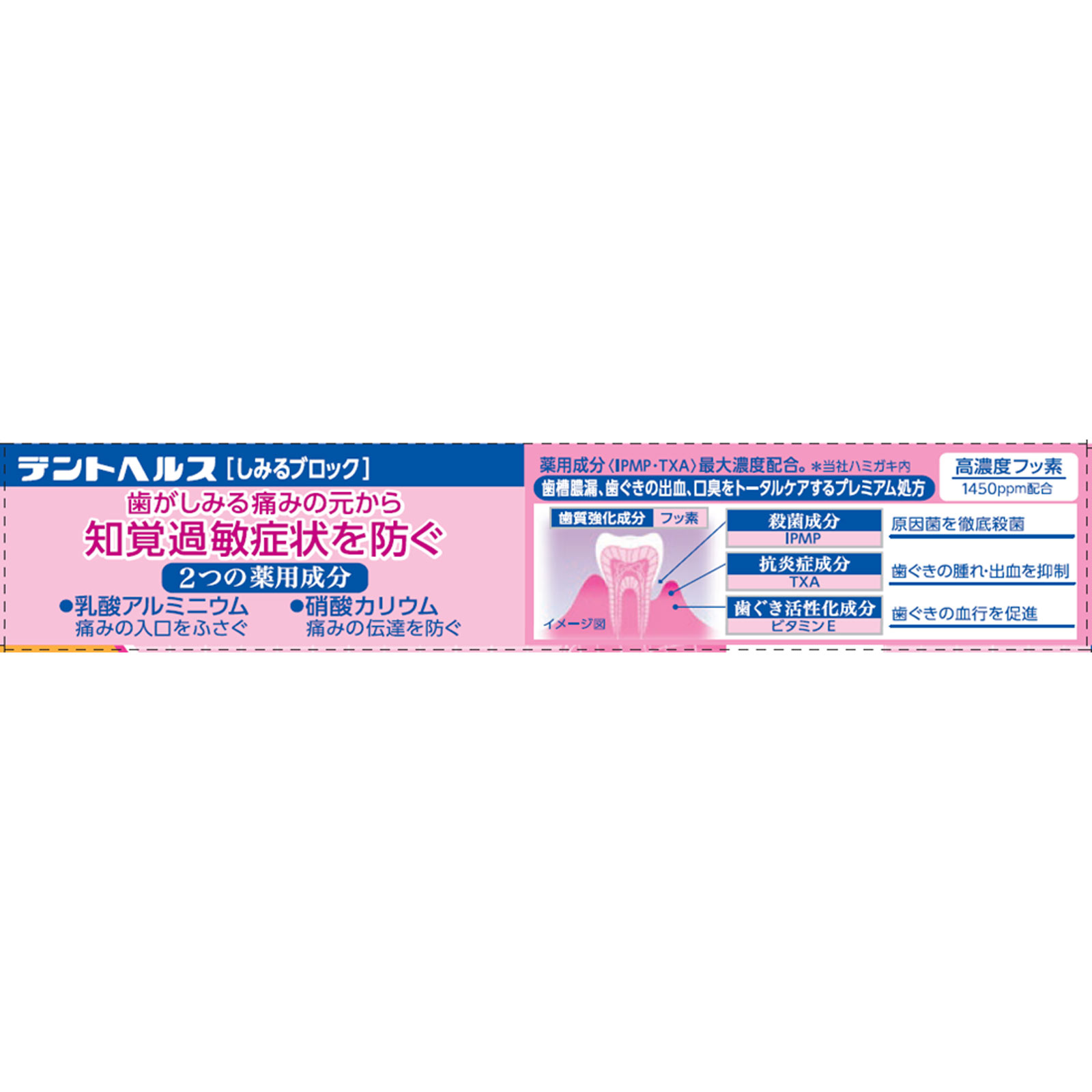 デントヘルス　薬用　ハミガキ　しみるブロック ２８ｇ ライオン (医薬部外品)