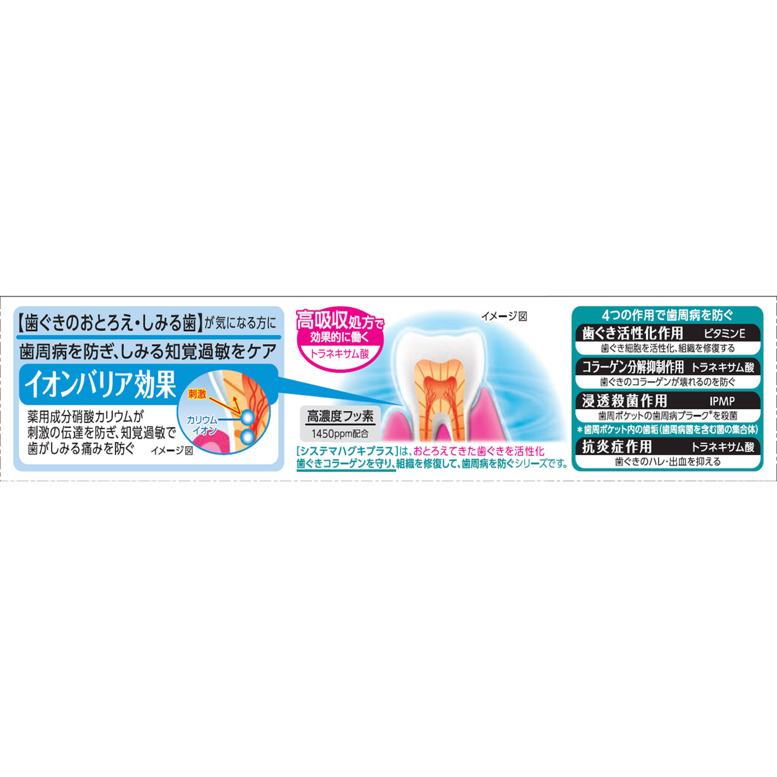 システマ ハグキプラス センシティブハミガキ 大サイズ １２０ｇ ライオン (医薬部外品)
