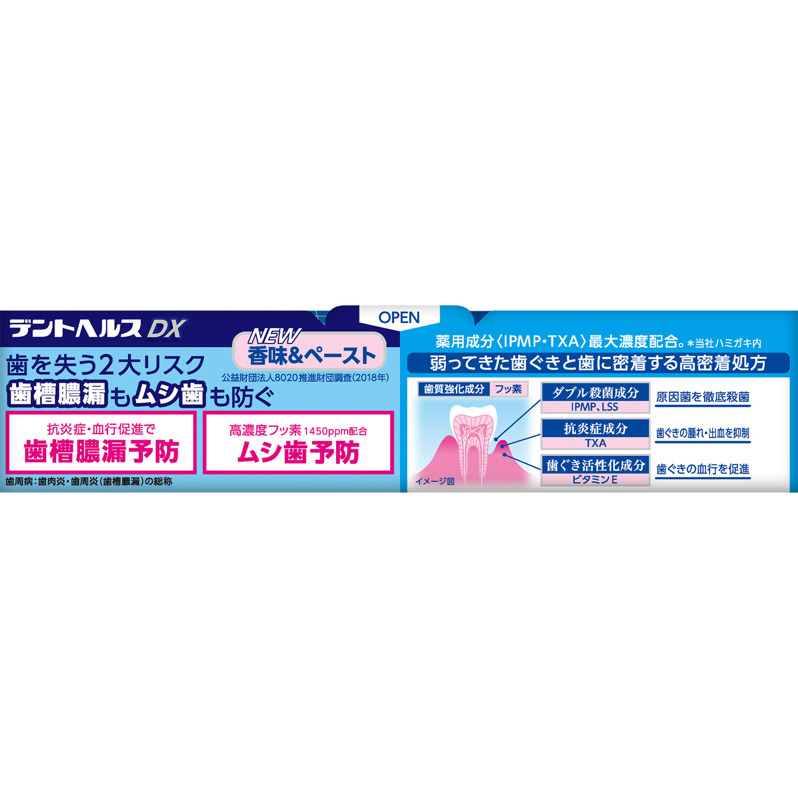 デントヘルス 薬用ハミガキＤＸ 増量品 ９４ｇ ライオン (医薬部外品)