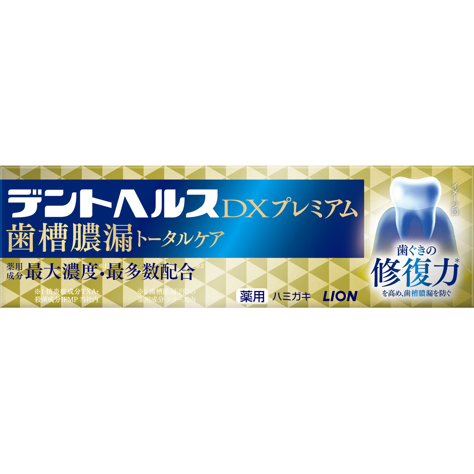 デントヘルス薬用ハミガキＤＸプレミアム ９０ｇ ライオン (医薬部外品)