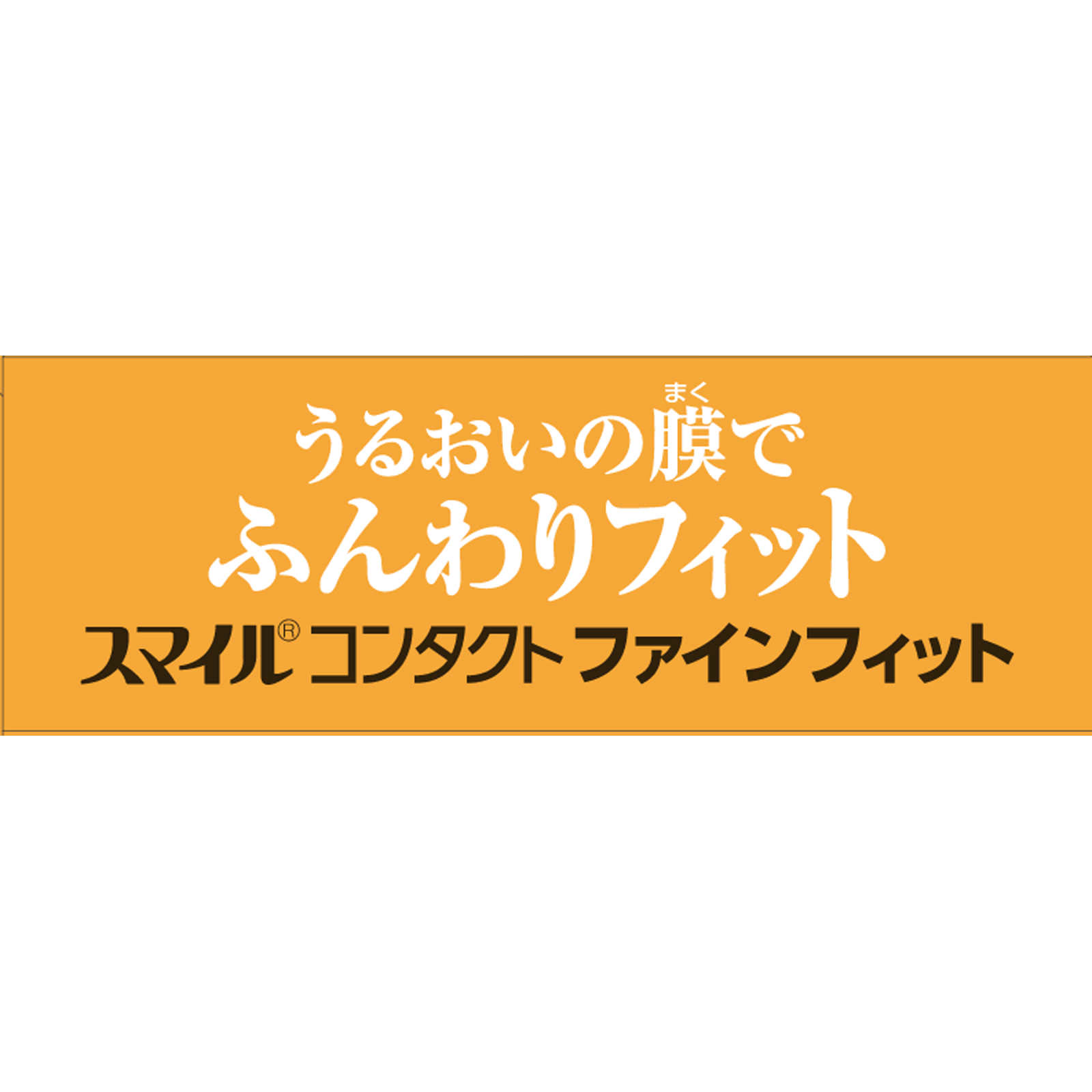 スマイルコンタクト ファインフィット １０ｍｌ ライオン (指定医薬部外品)