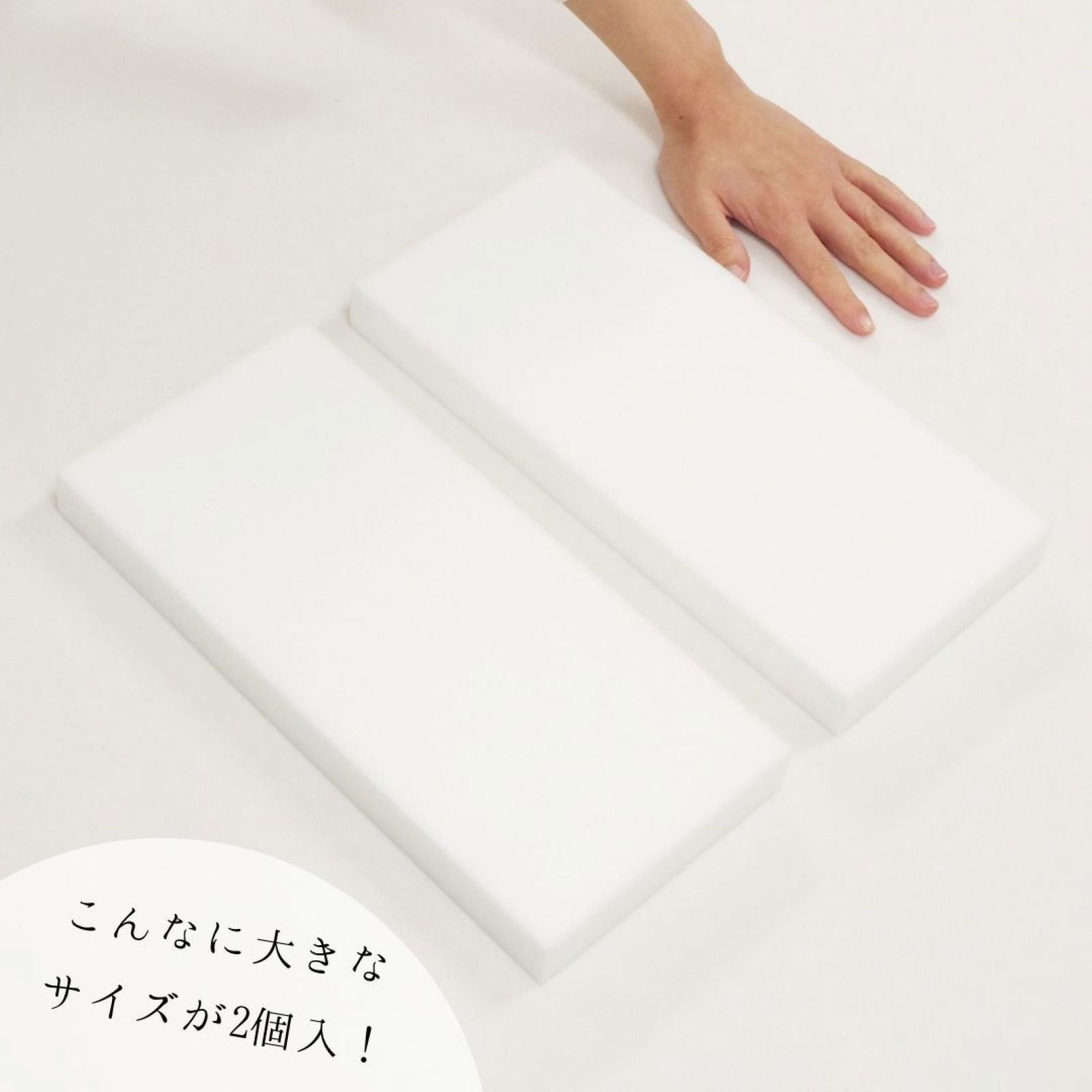 【激落ちダブルキング】 ２個入 レック