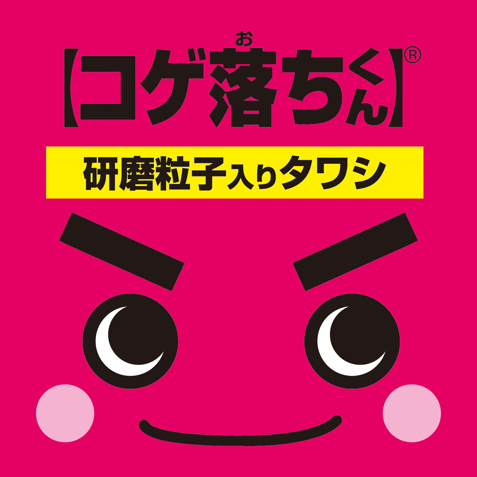 【コゲ落ちくん】 １個入 レック