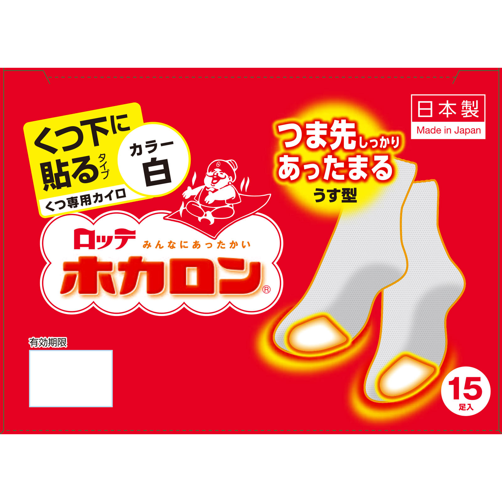 ホカロンくつ下に貼る １５Ｐ ロッテ