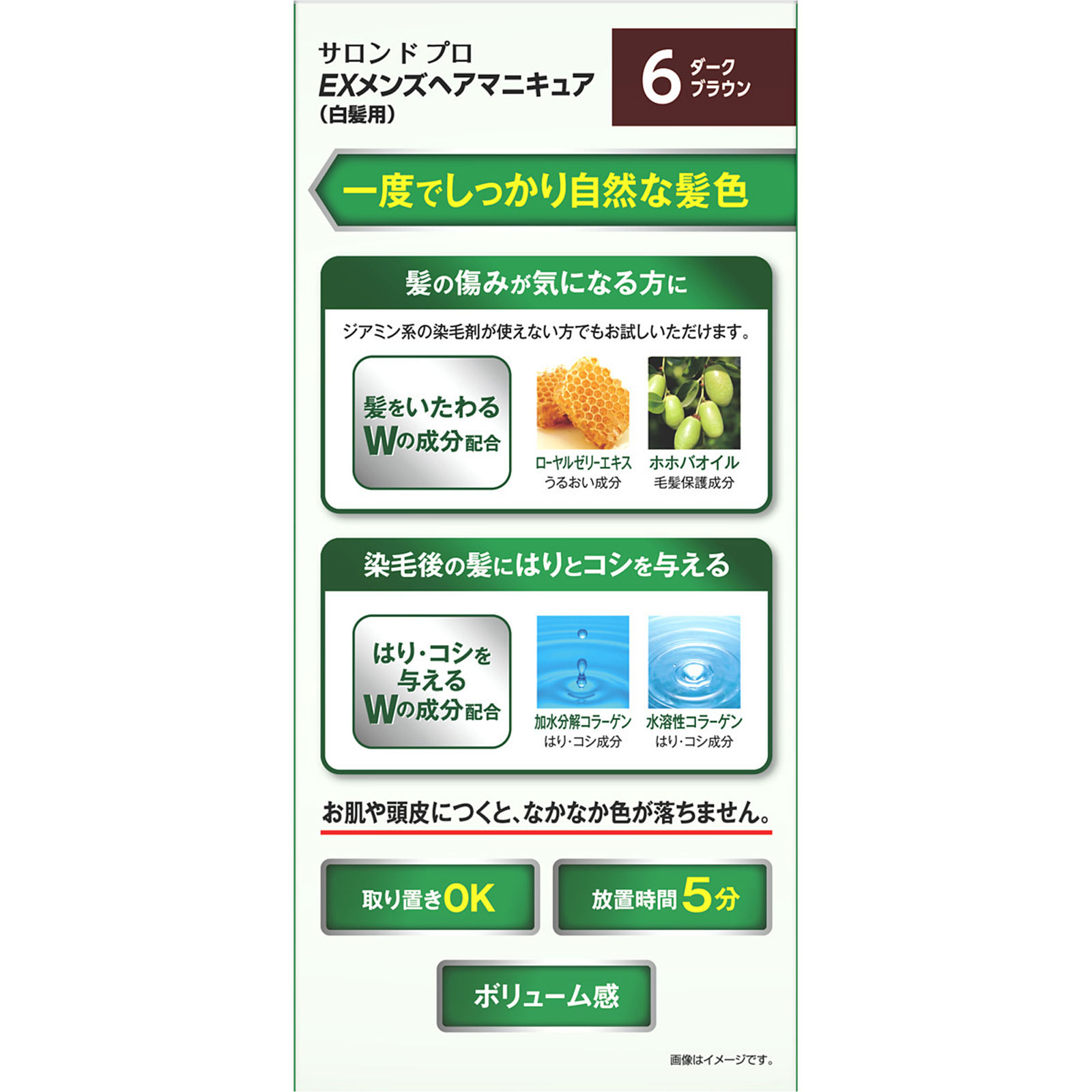 サロン ド プロ ＥＸメンズヘアマニキュア（白髪用） 6 ダークブラウン ９０ｇ ダリヤ