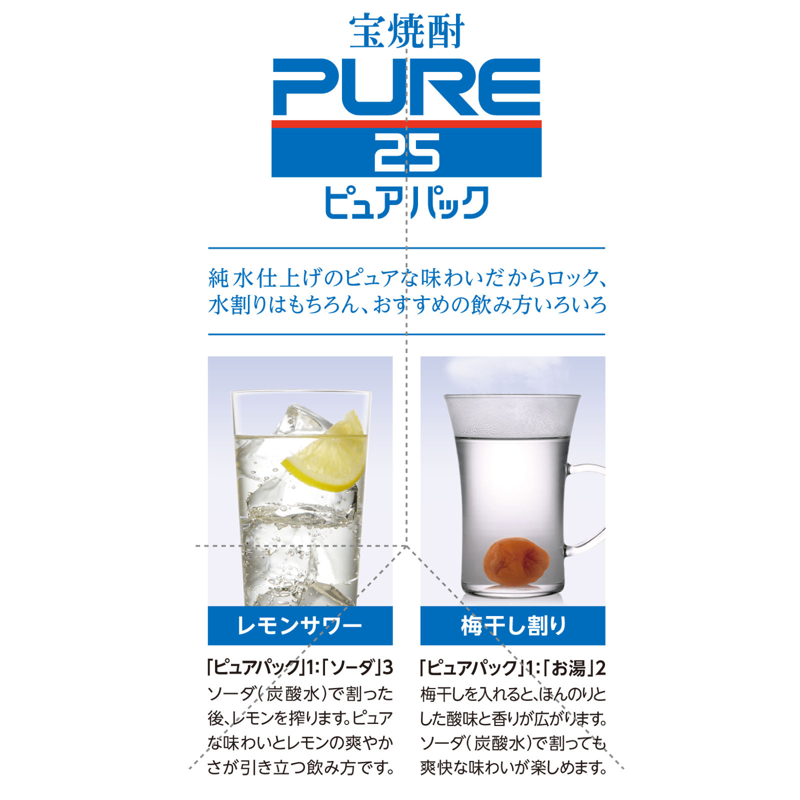 宝焼酎「ピュアパック」２５° ９００ｍｌ 宝酒造