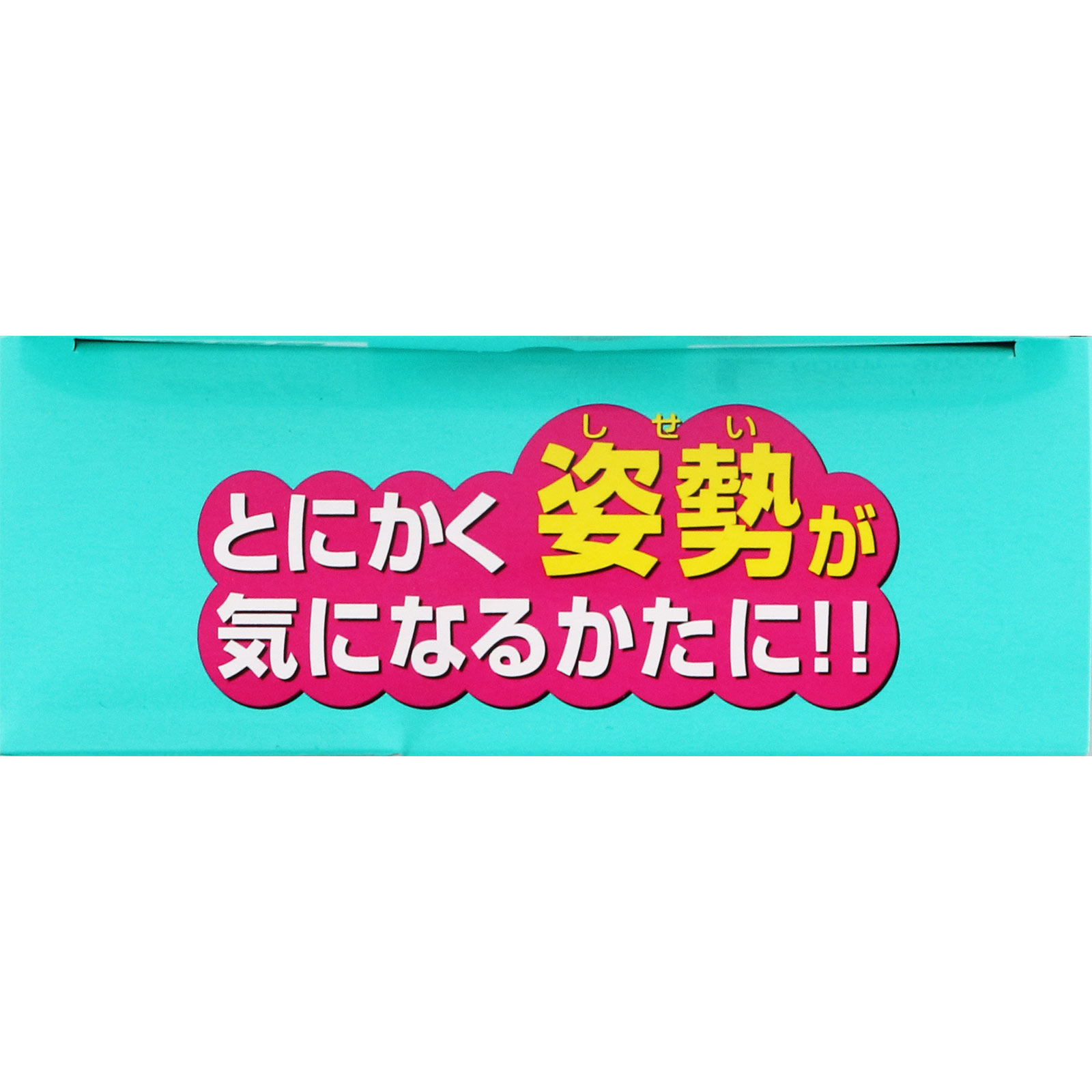 山田式 カタラーク ワンタッチベルト 女性用 Ｌ ミノウラコーポレーション