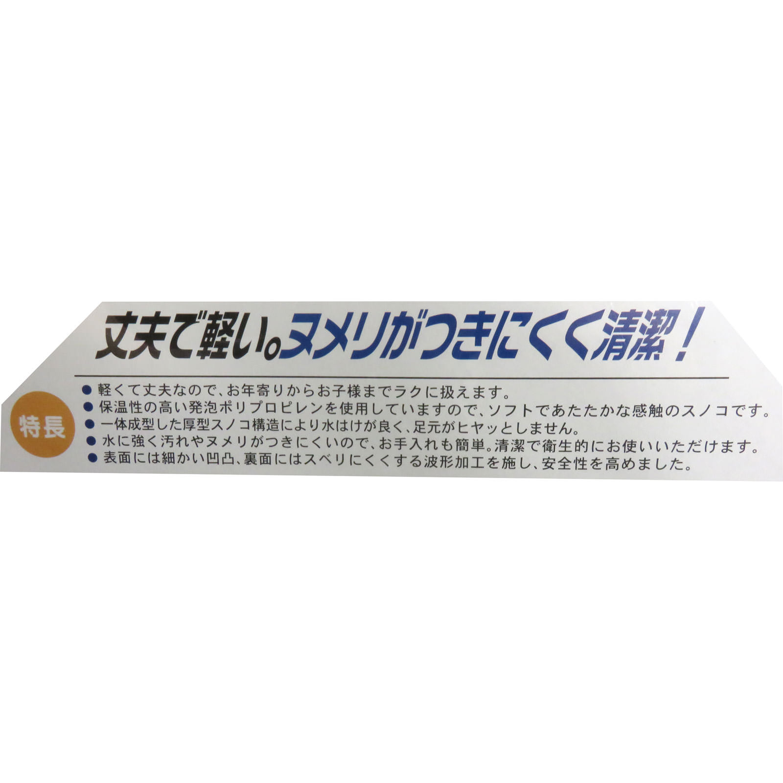 DXスノコ ブルー ＿ ワイズ
