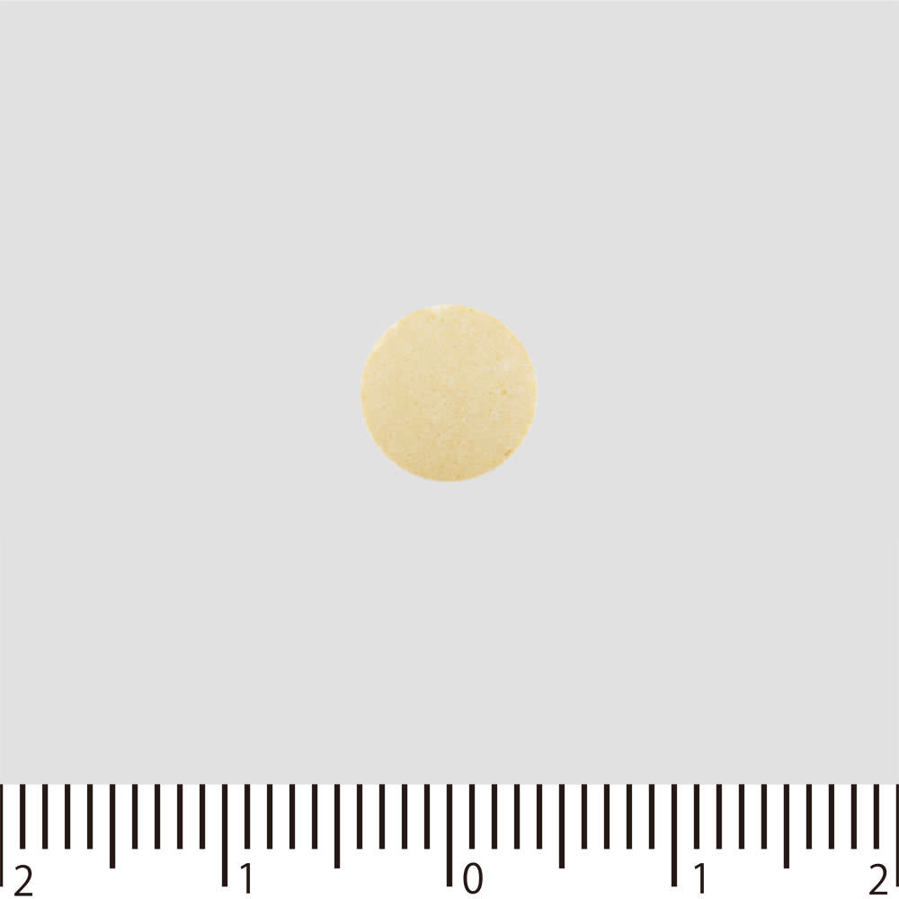 エビオス 整腸薬 ５０４錠 アサヒグループ食品株式会社 (指定医薬部外品)