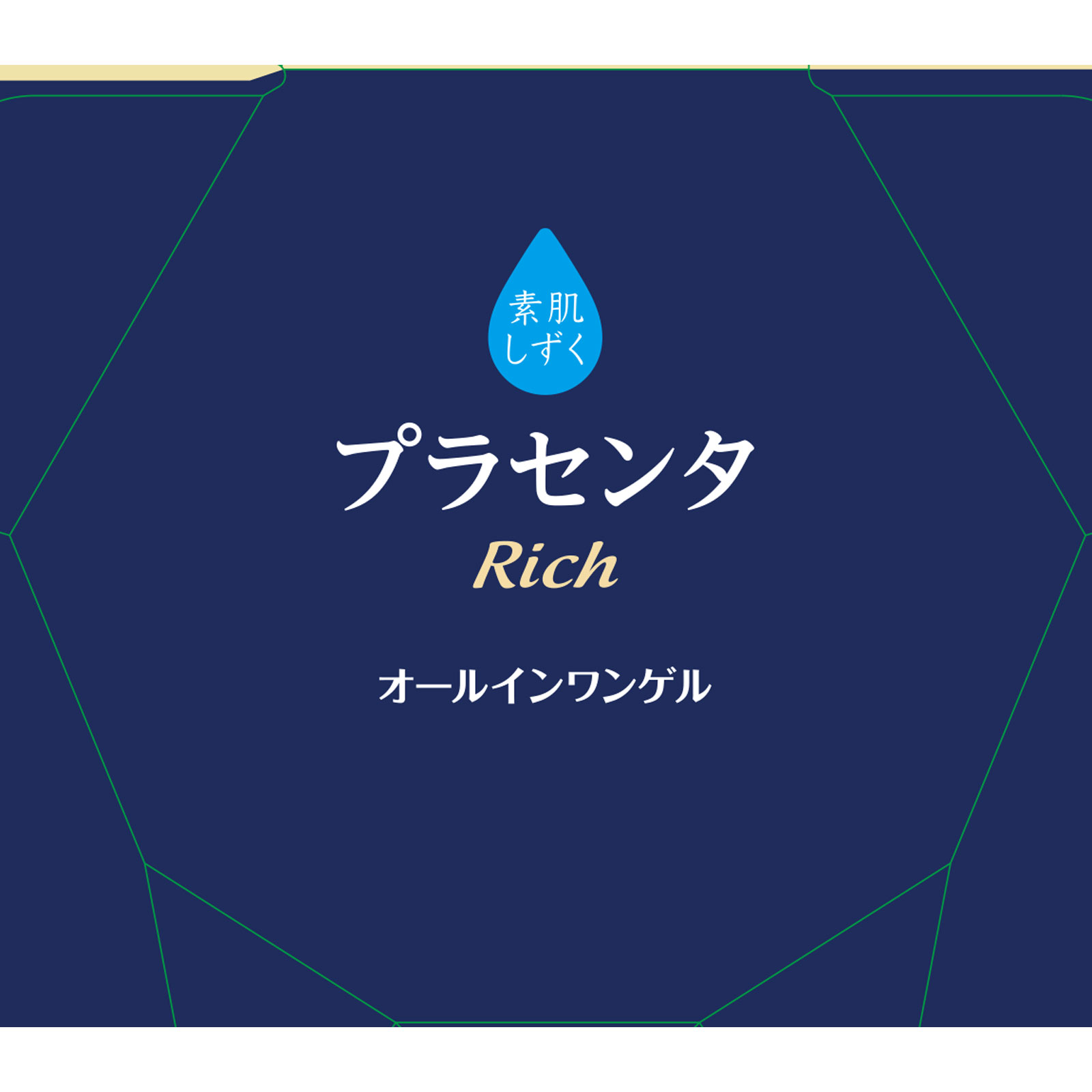 素肌しずくリッチ トータルエイジング・オールインワンゲル ２００ｇ アサヒグループ食品株式会社 (医薬部外品)