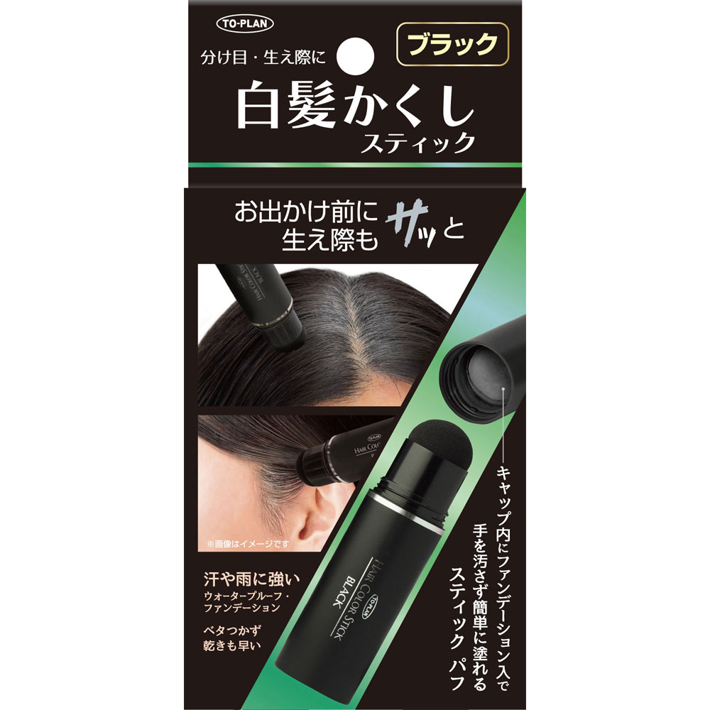 TO-PLAN 白髪かくしスティック ブラック 4g 東京企画販売