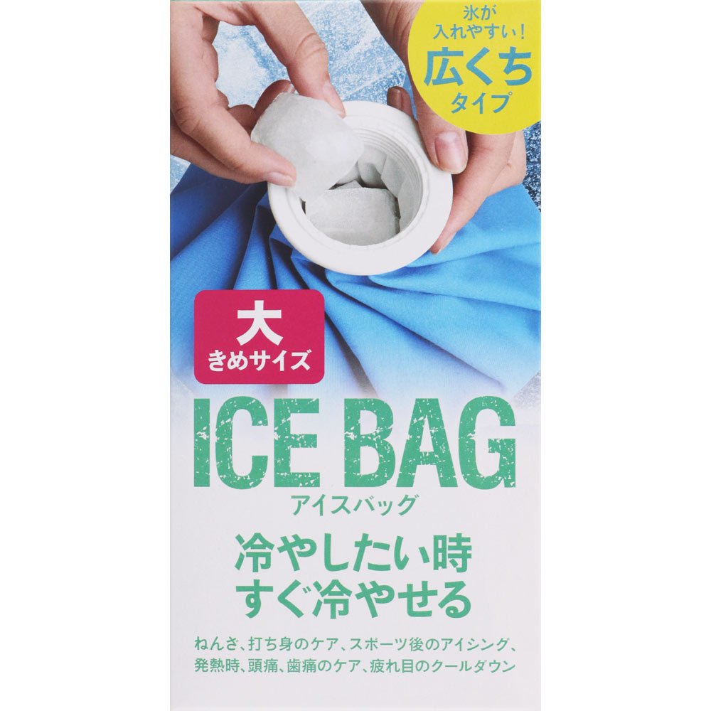 アイスバッグ 大 １０００ｍｌ 東京企画販売