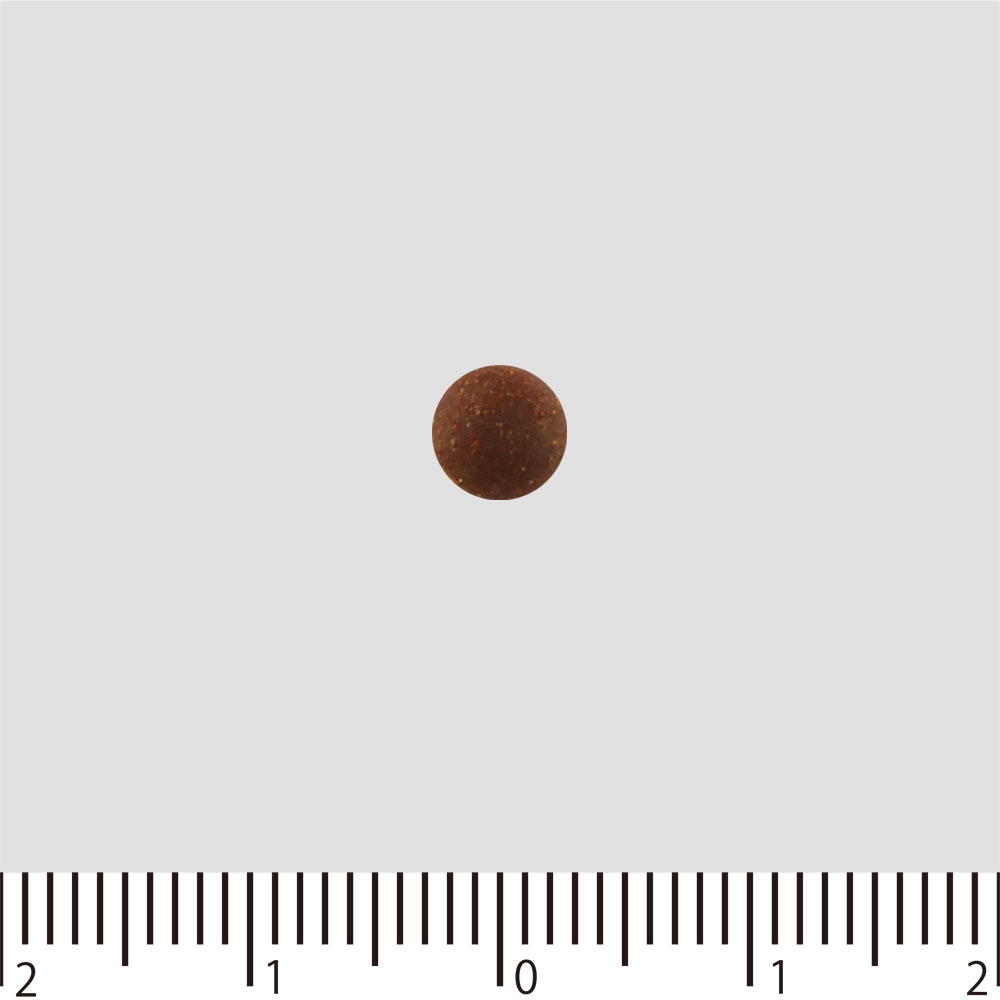 正露丸 ５５０粒 キョクトウ 【第2類医薬品】