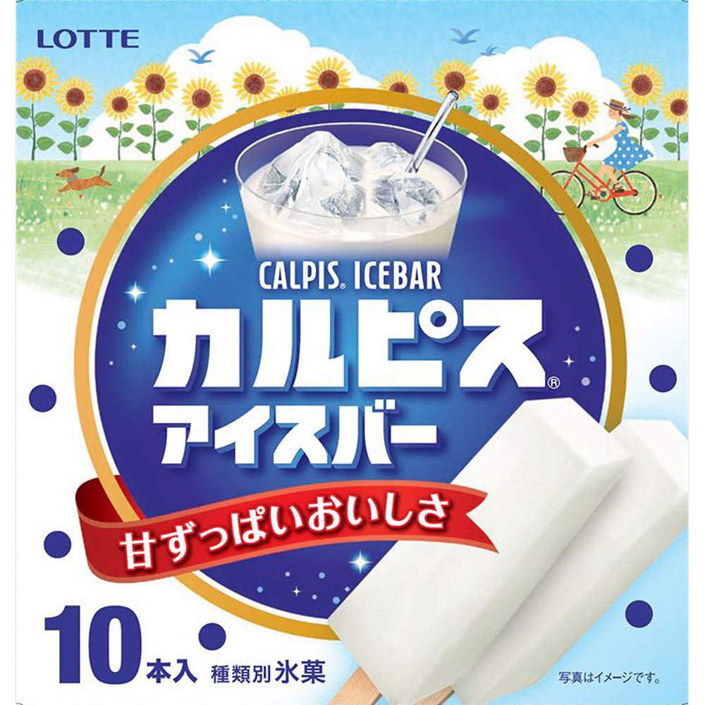 カルピスアイスバー ４３ｍｌ×１０ ロッテアイス　