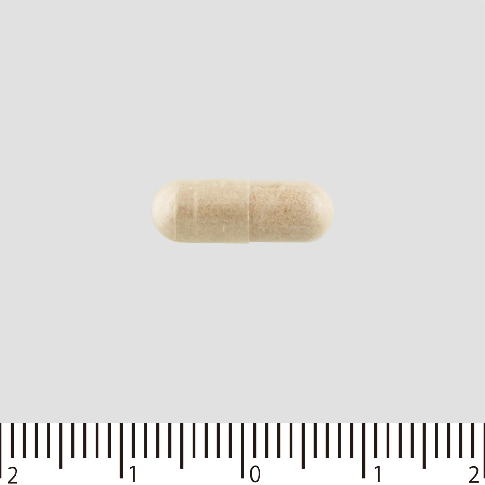 健康きらりフコイダンＷ ９０粒 明治薬品