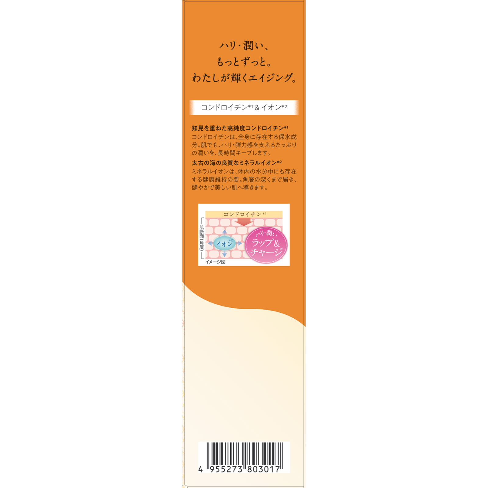 イオナ エフ リッチフォーム １２０ｇ ゼリア新薬工業