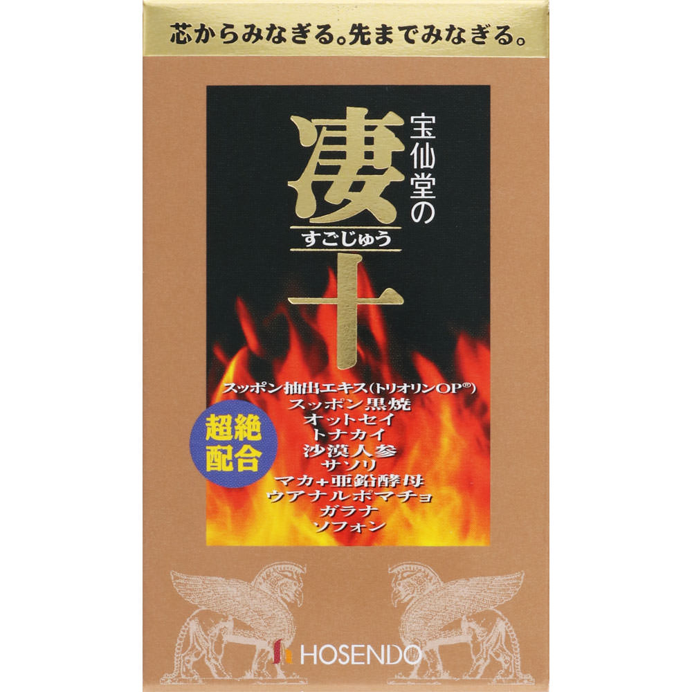 宝仙堂の凄十 ４６錠 宝仙堂