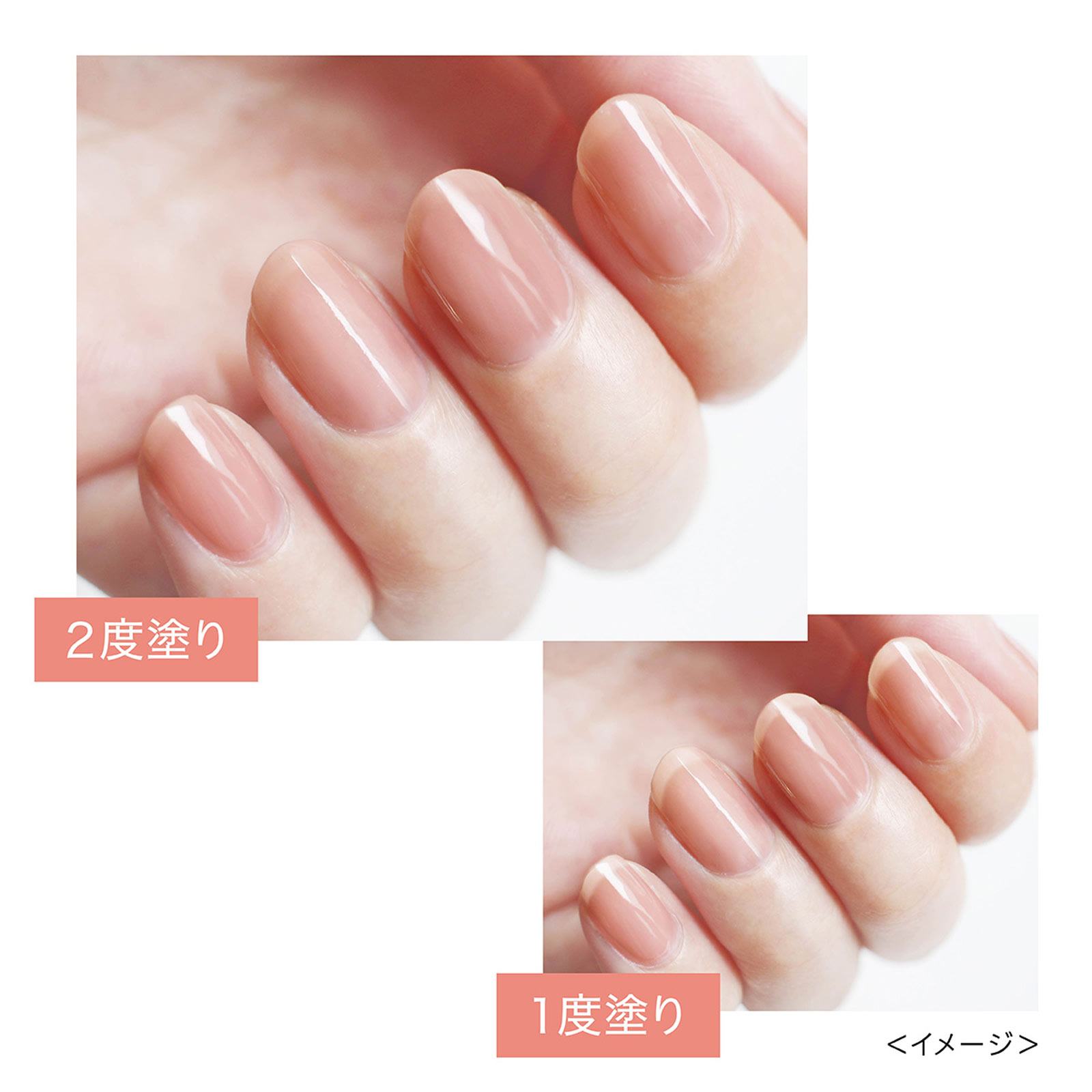 シュガードール オールインワンネイルS 02 _ エリザベス