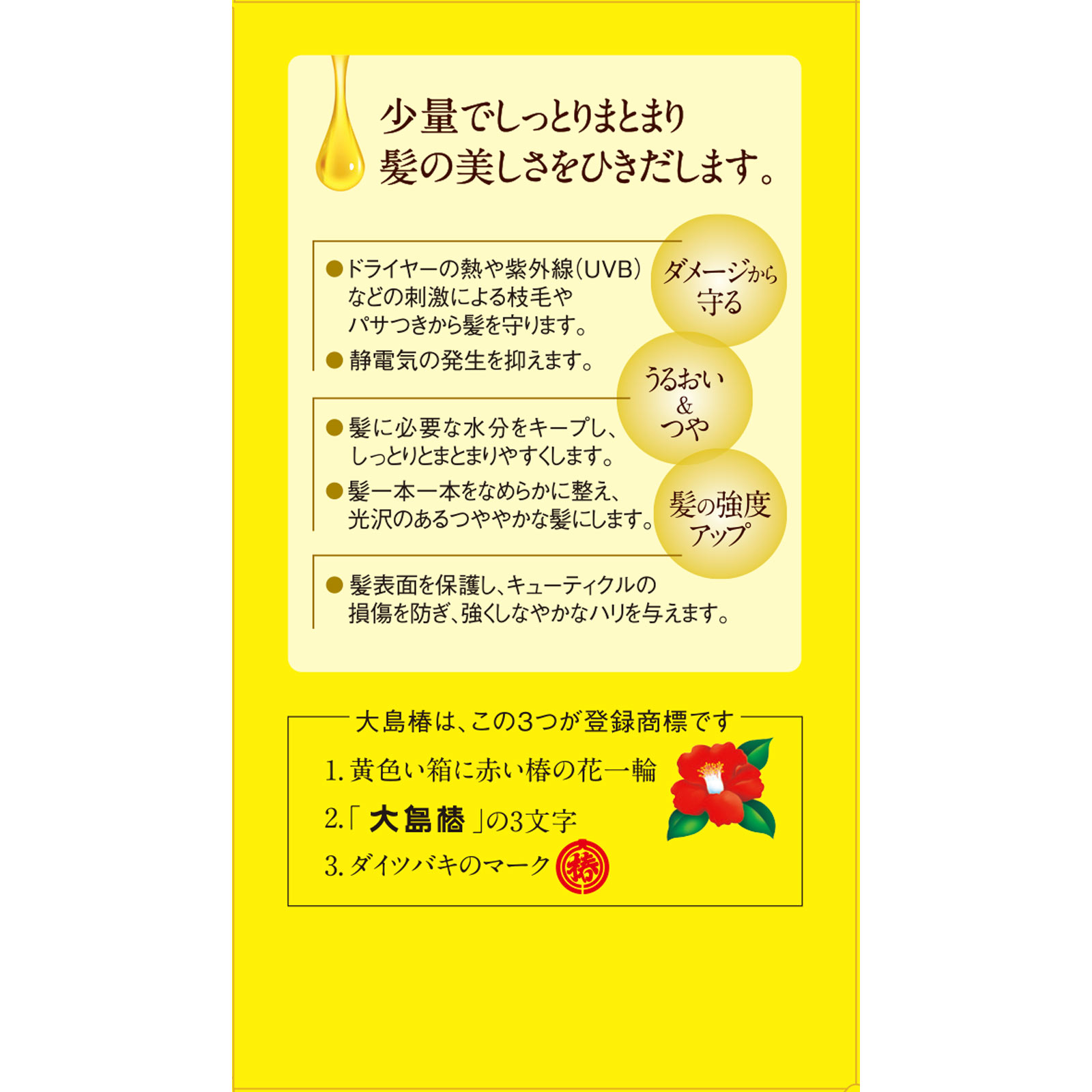 大島椿 ４０ｍｌ 大島椿