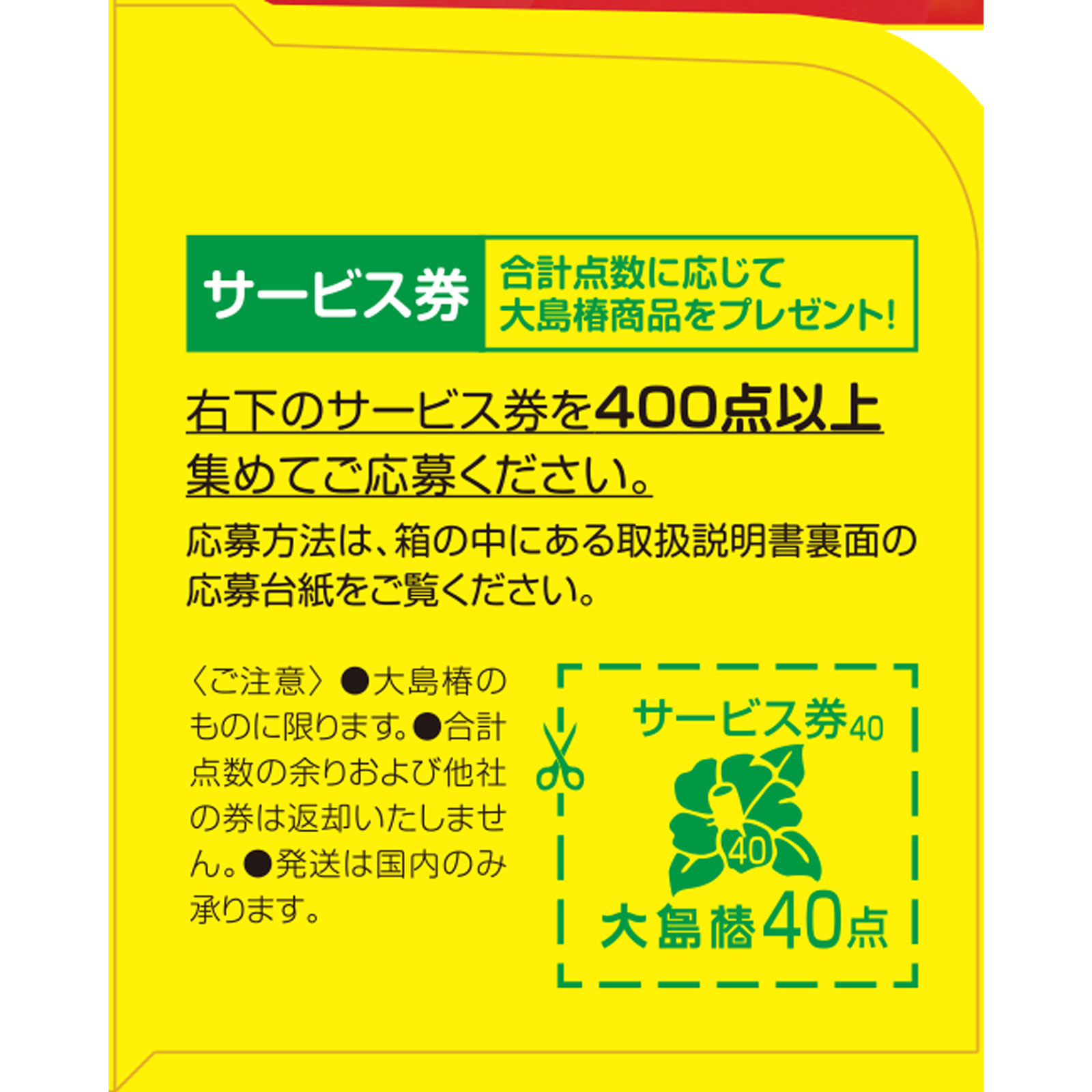 大島椿 ４０ｍｌ 大島椿